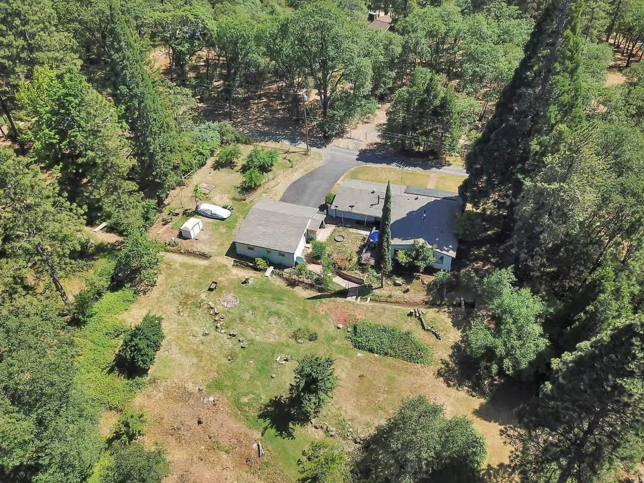 Ollie's Orchard