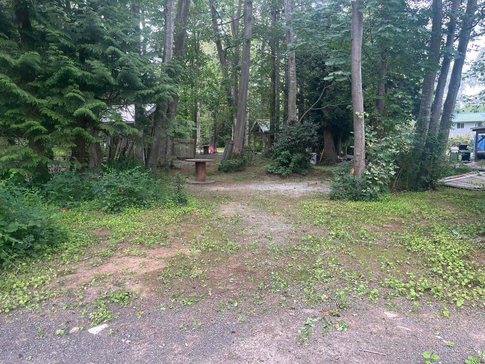 CAMPSITE #2