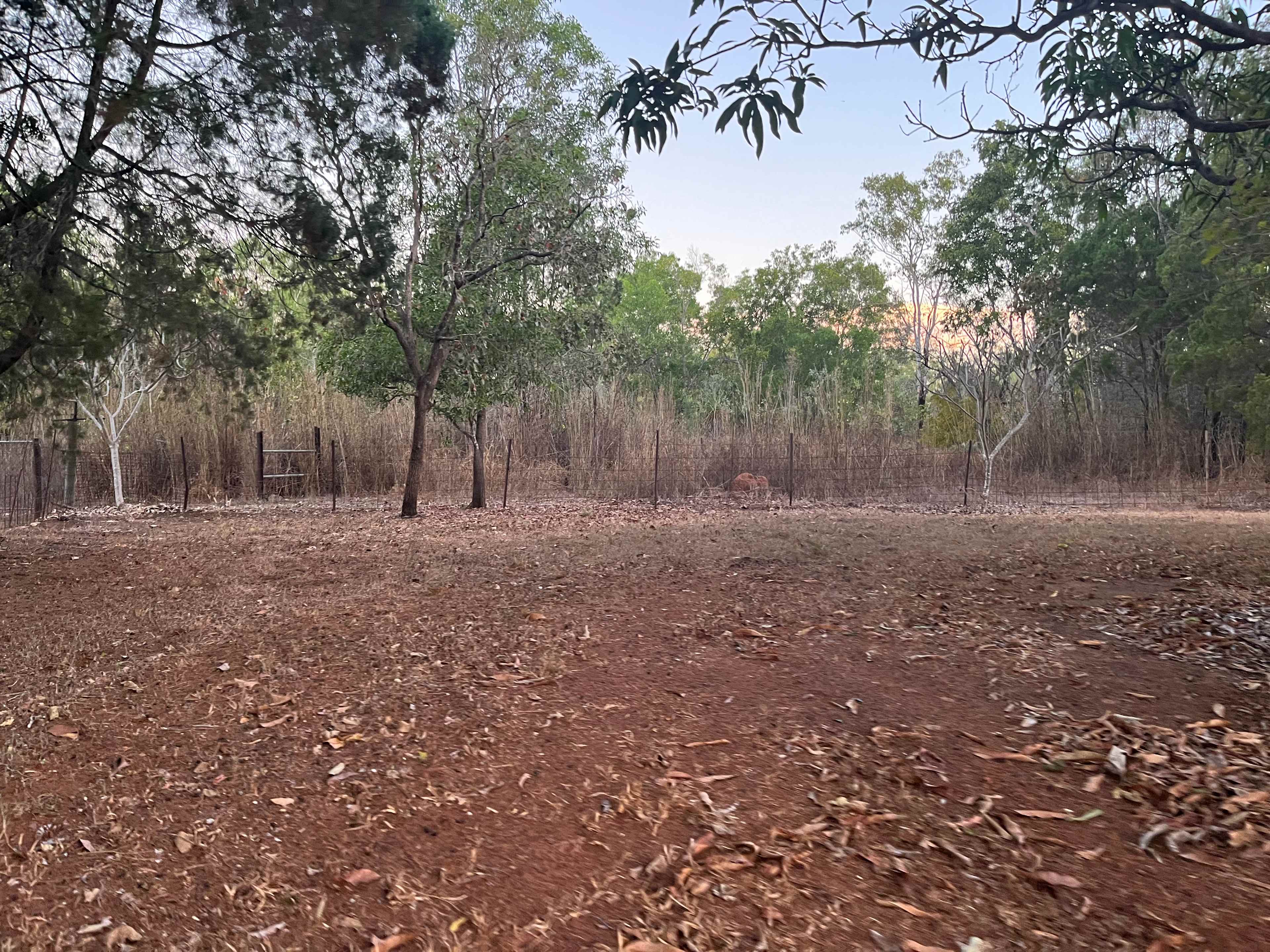 Wallaroo Flats