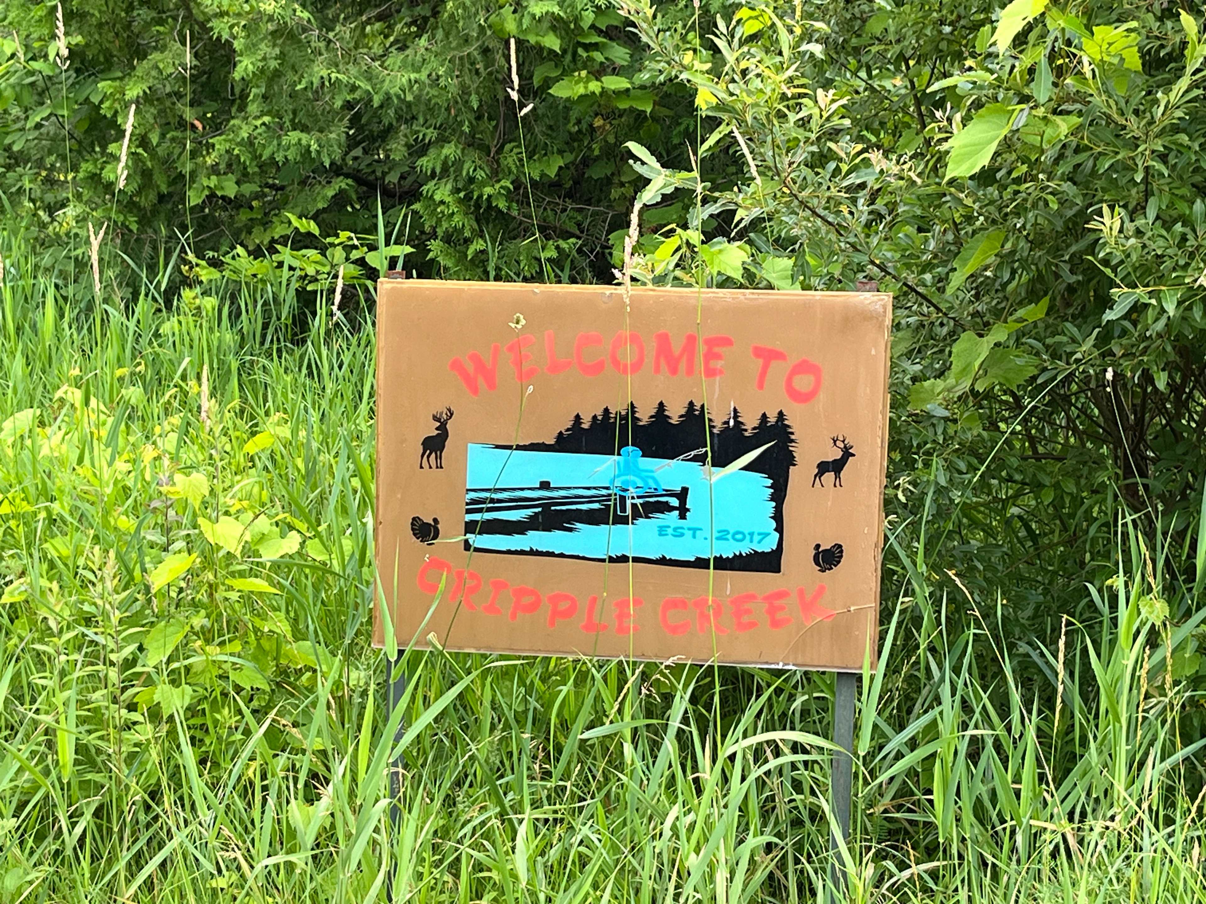 Picture of the site