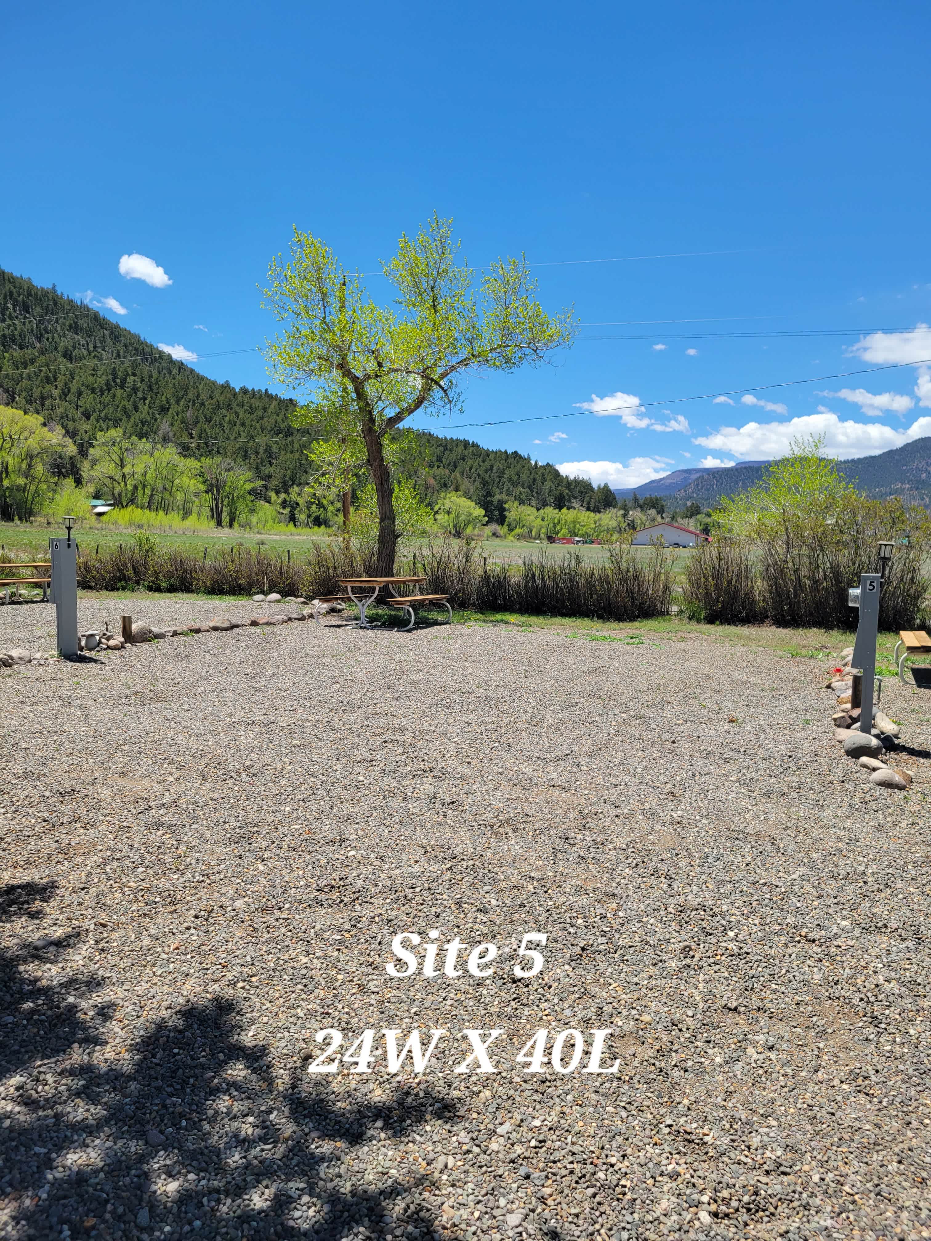Picture of the site