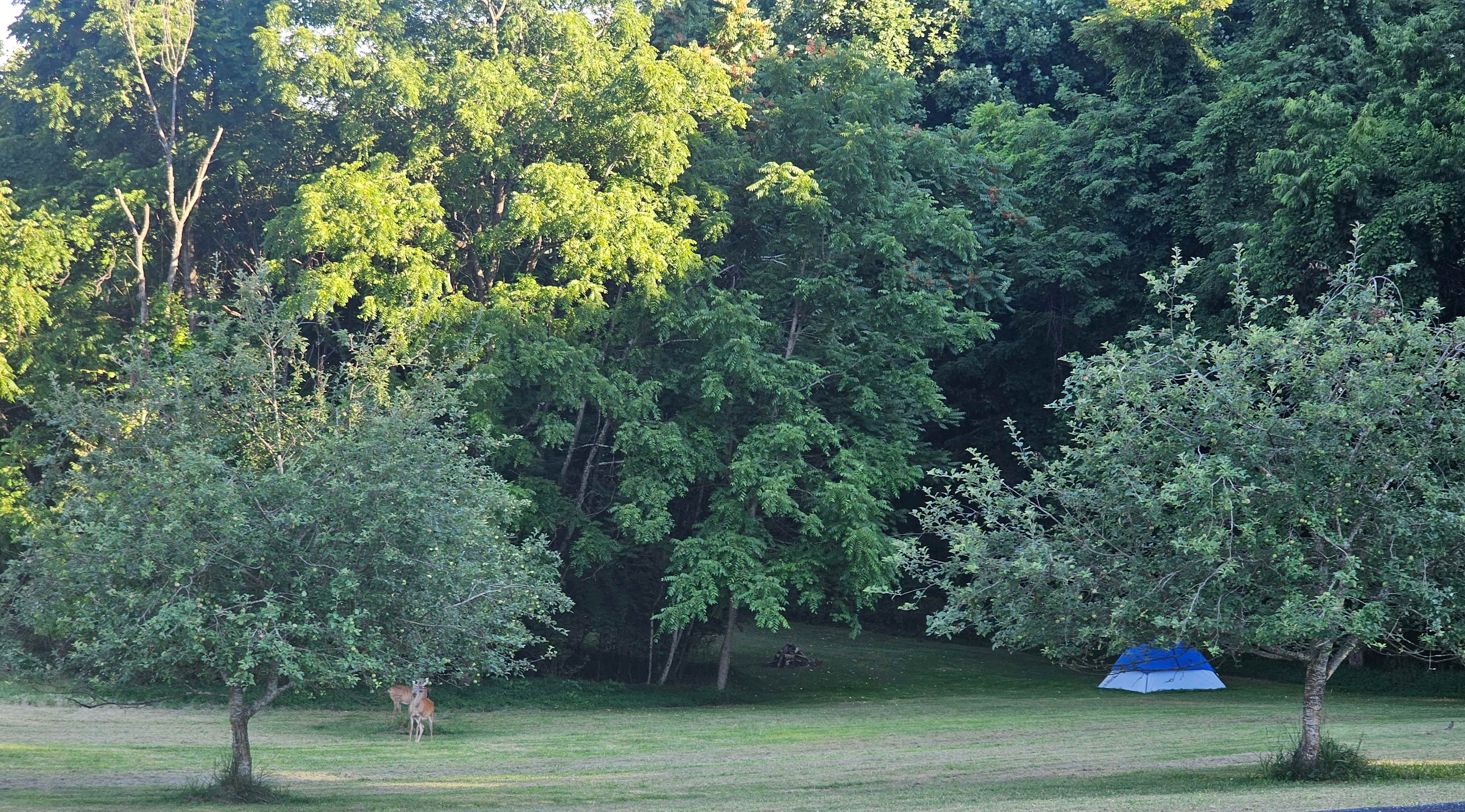 Clayman Valley Camping