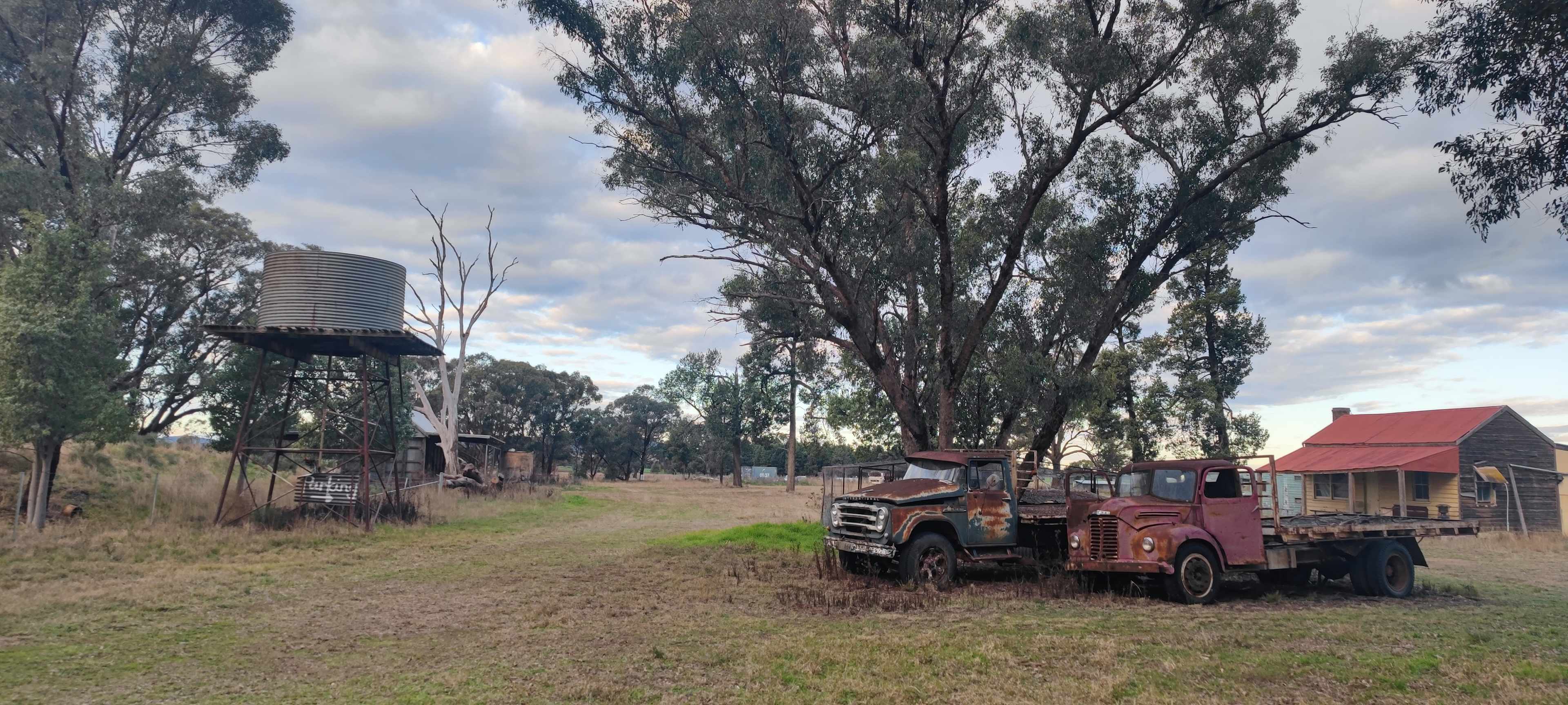 Farm stuff, chooks, friendly Labrador dogs. Goats and a Alpaca.