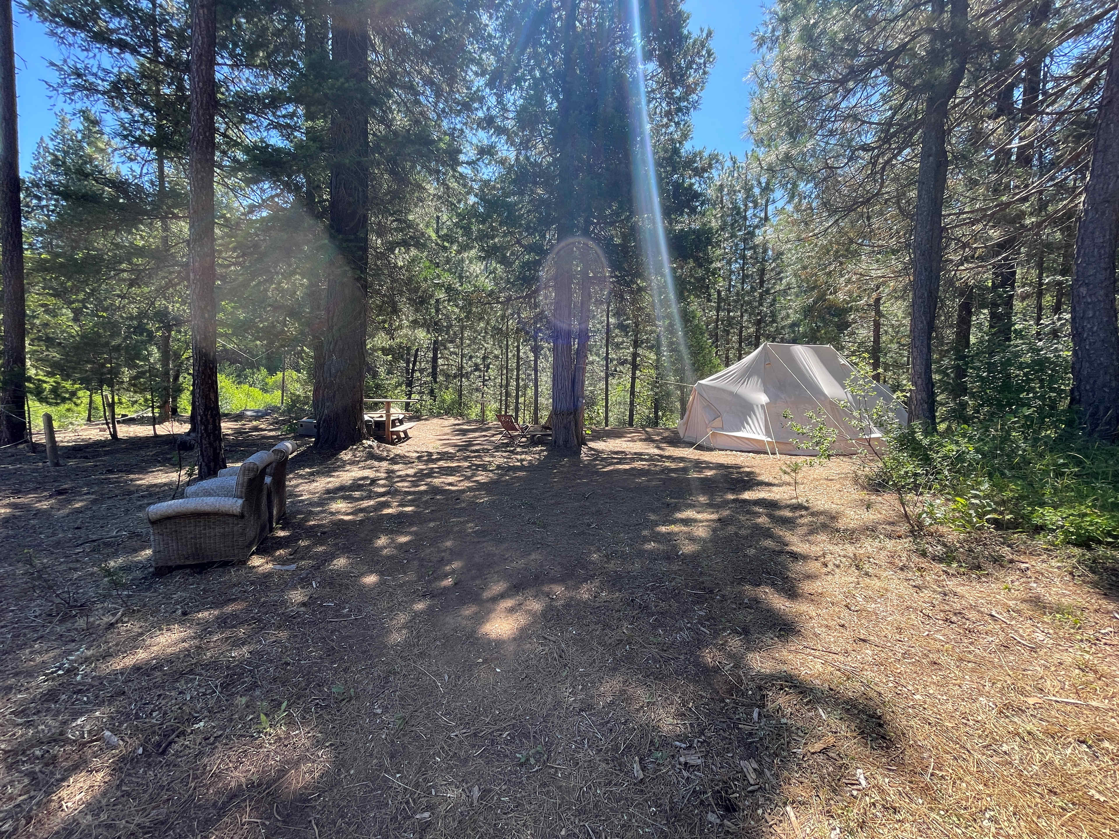 Wild Plumas California