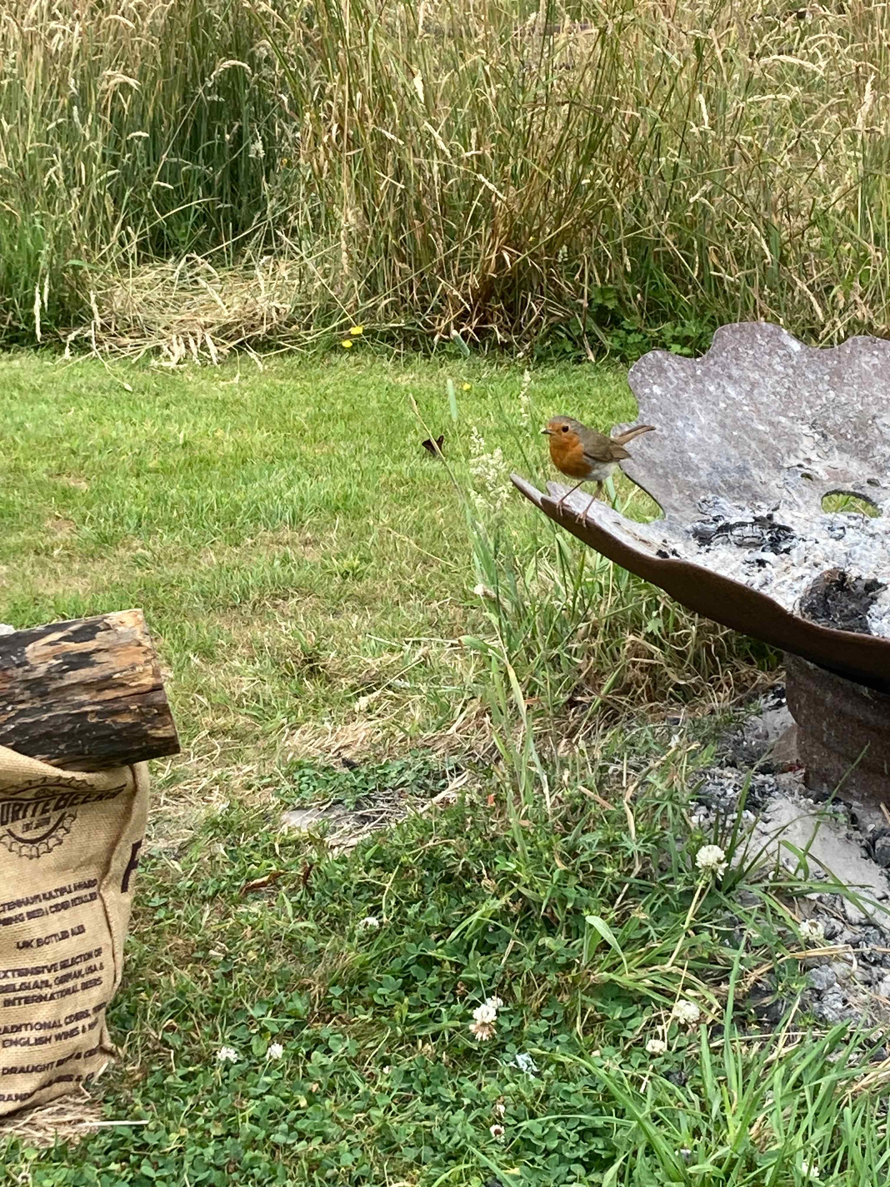 Sindles Farm Glamping and Camping
