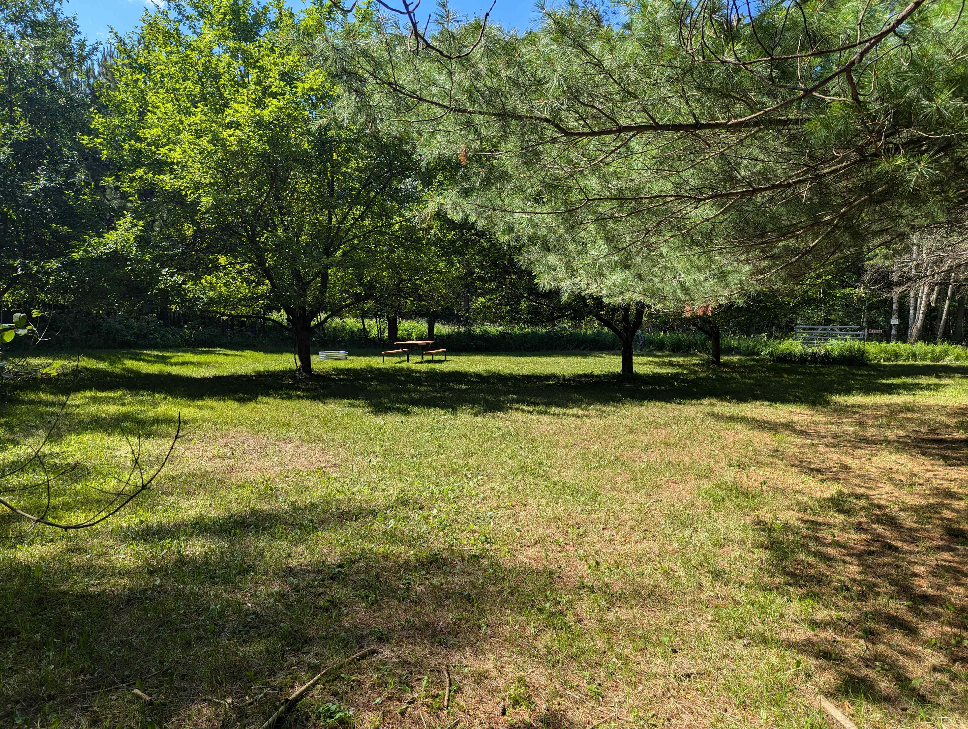 Walking into the orchard from the parking area/trail.