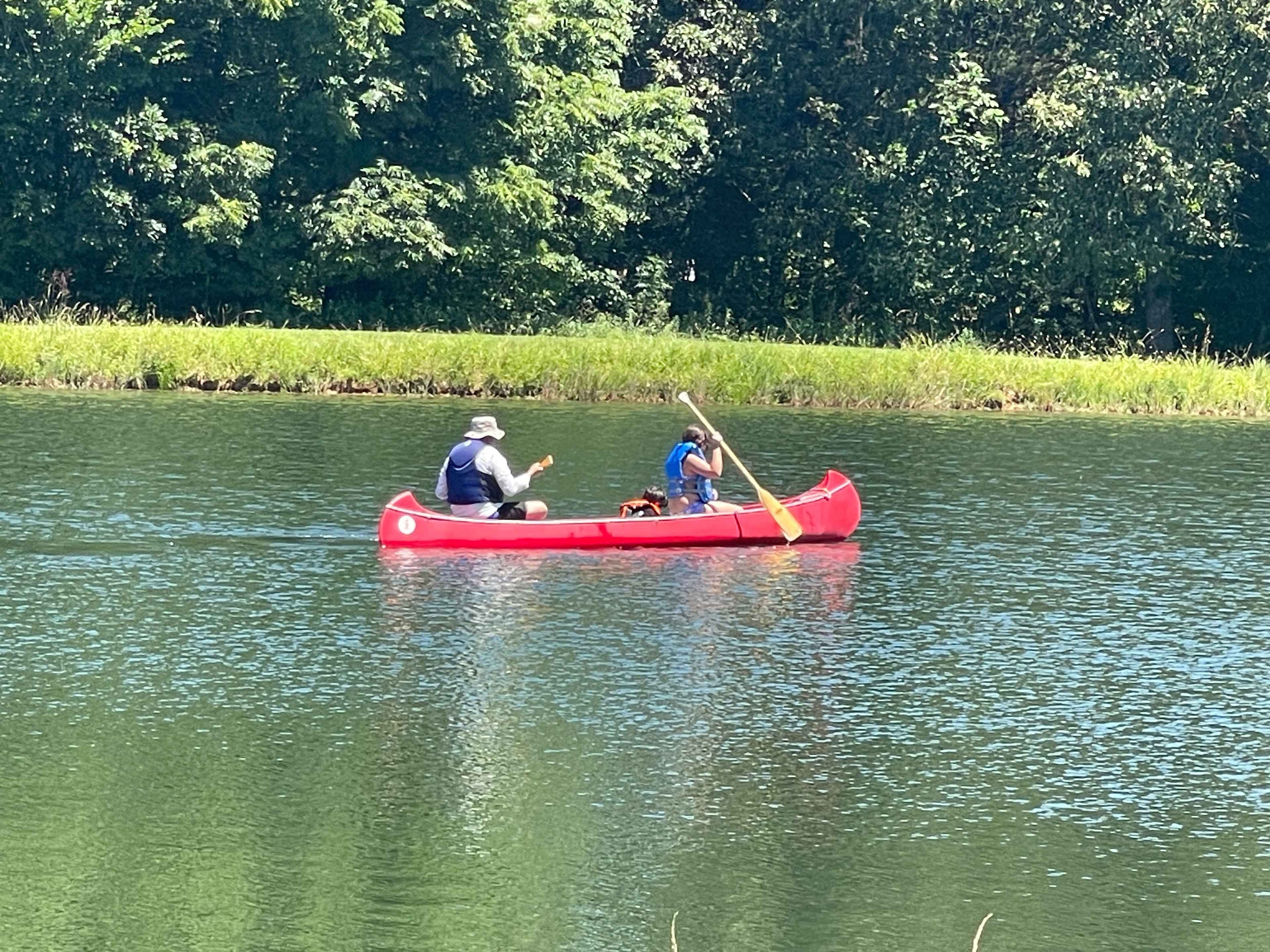 Canoeing in a pond. Calm and relaxing.  The kids loved it. 