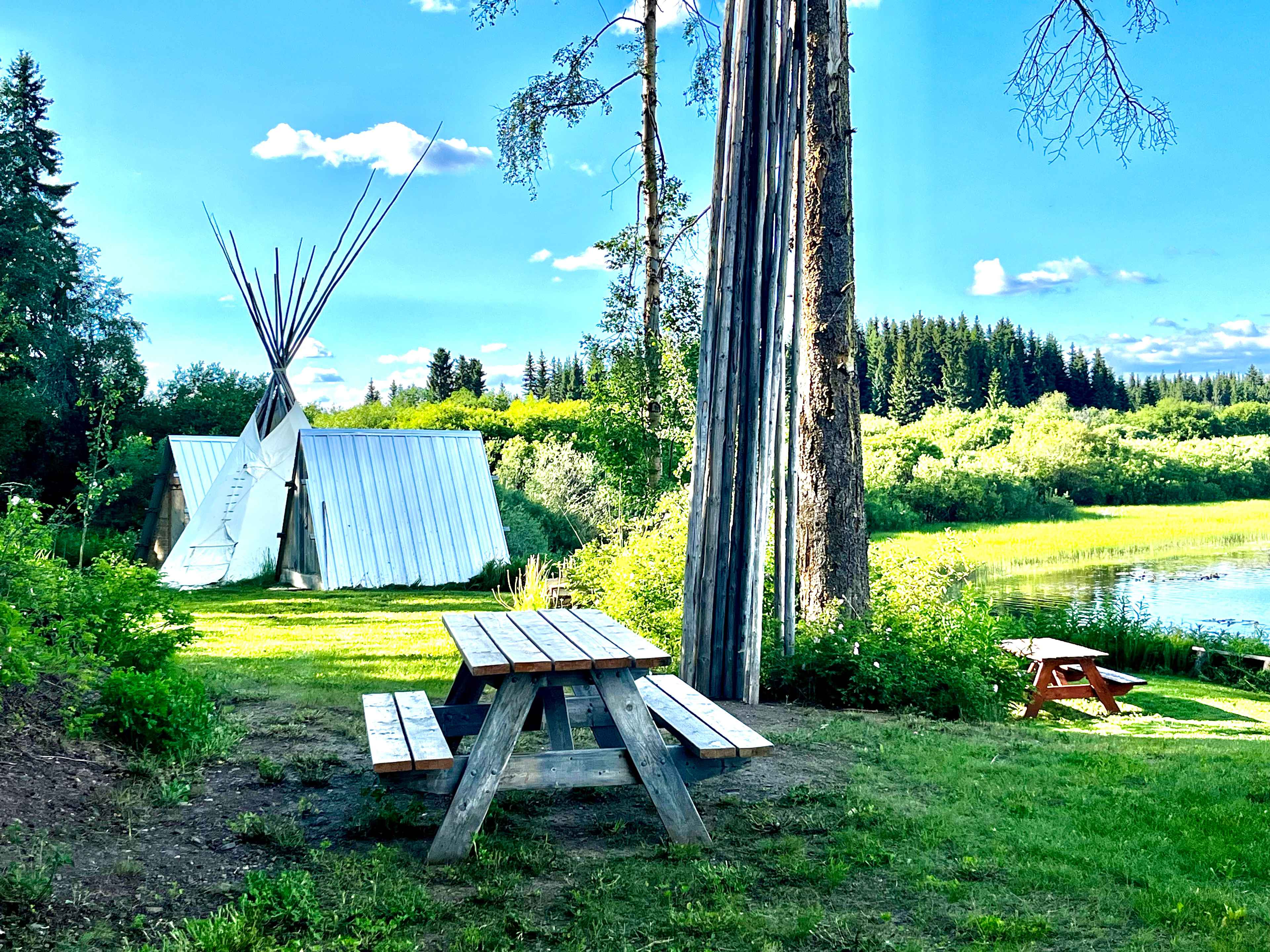 The main landing. 2 tent sites here and in the distance the Big and Small A-frames along with teepee.