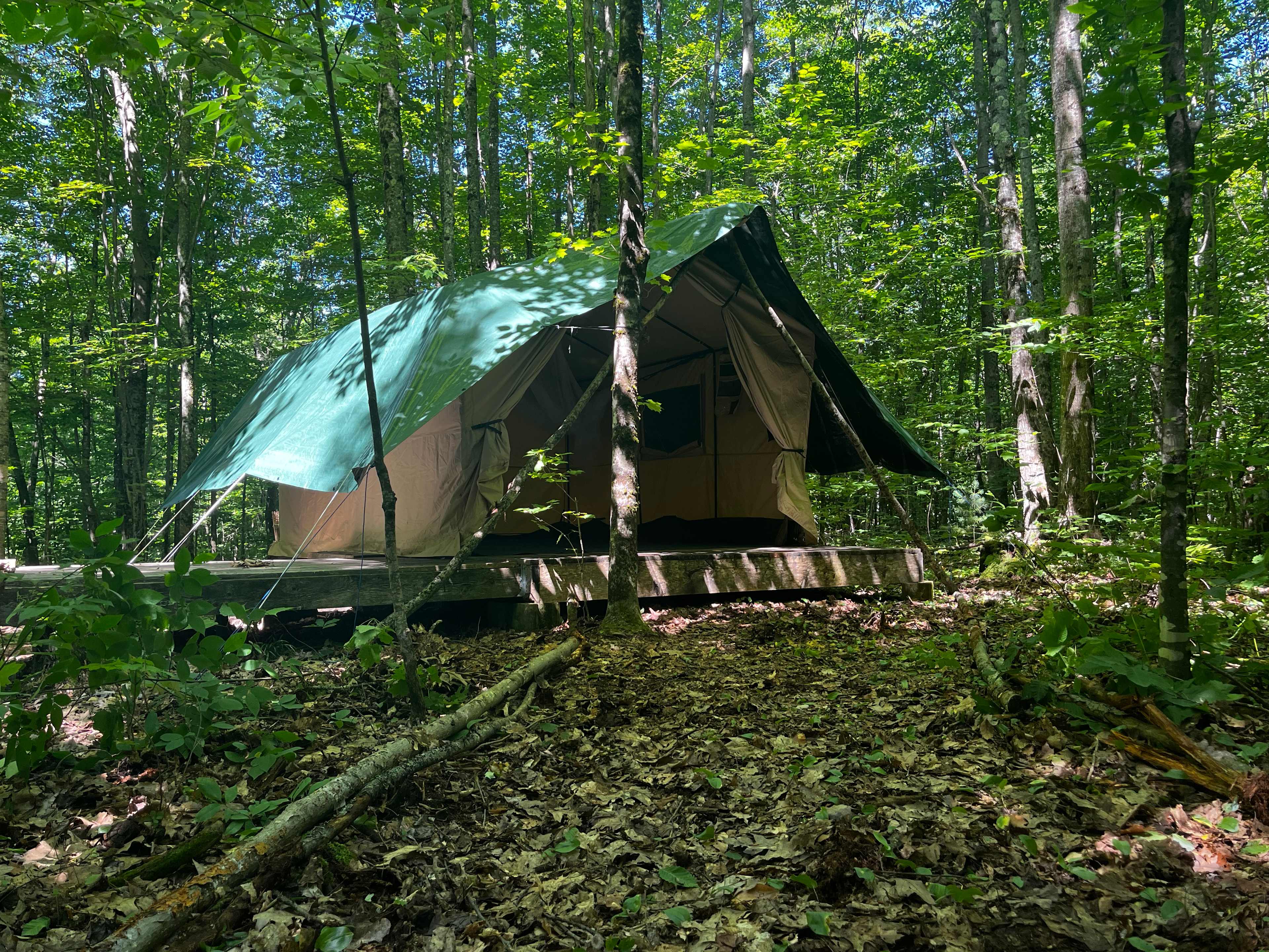 Picture of the site