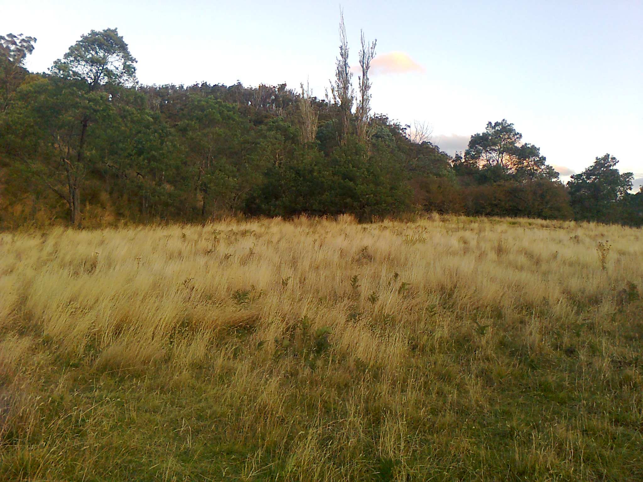 Mangana Land camping