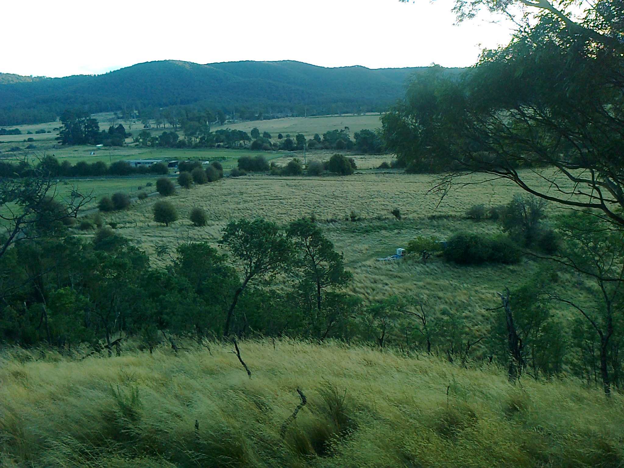 Mangana Land camping