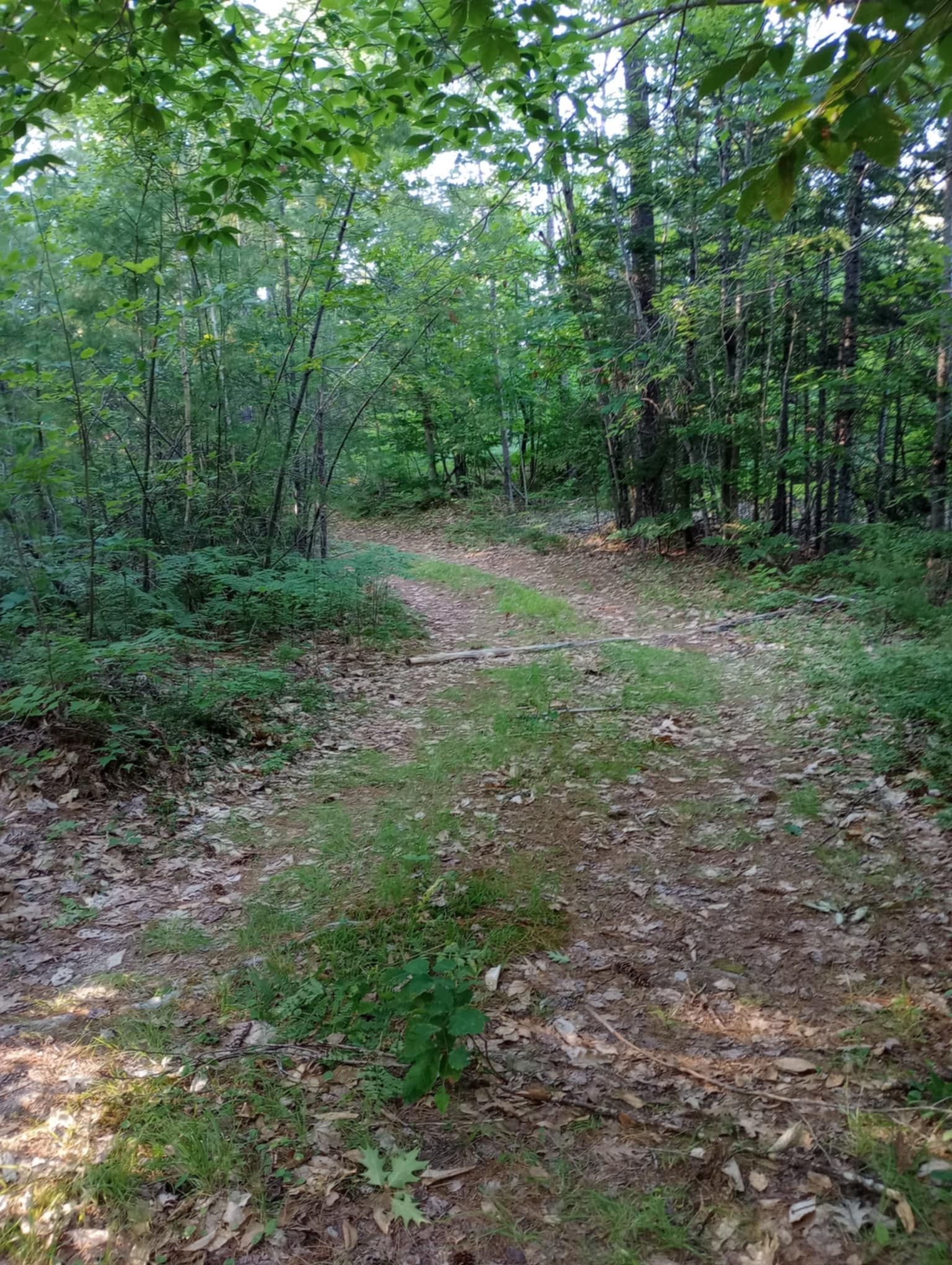 Brownfield Homestead