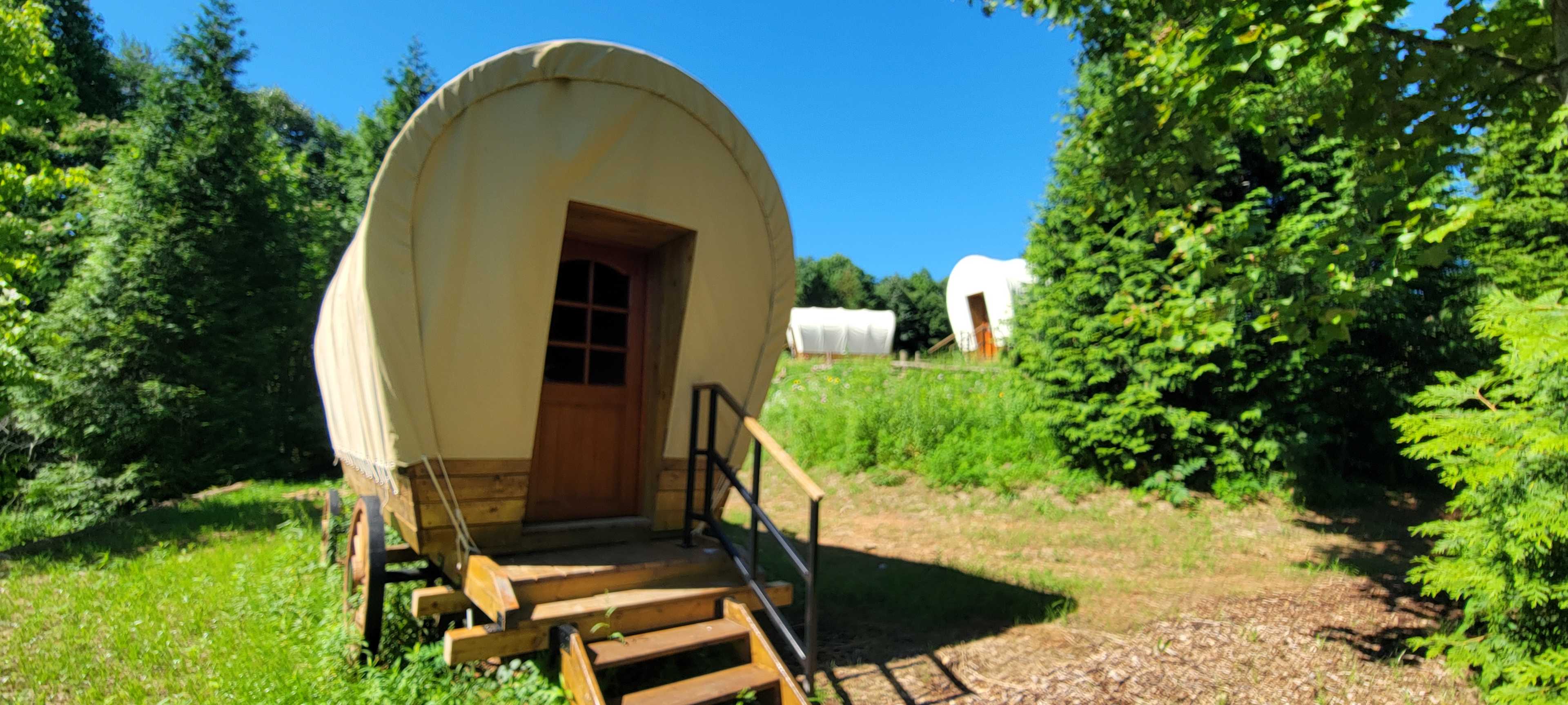 Take a Hike on a Wild side! Camping