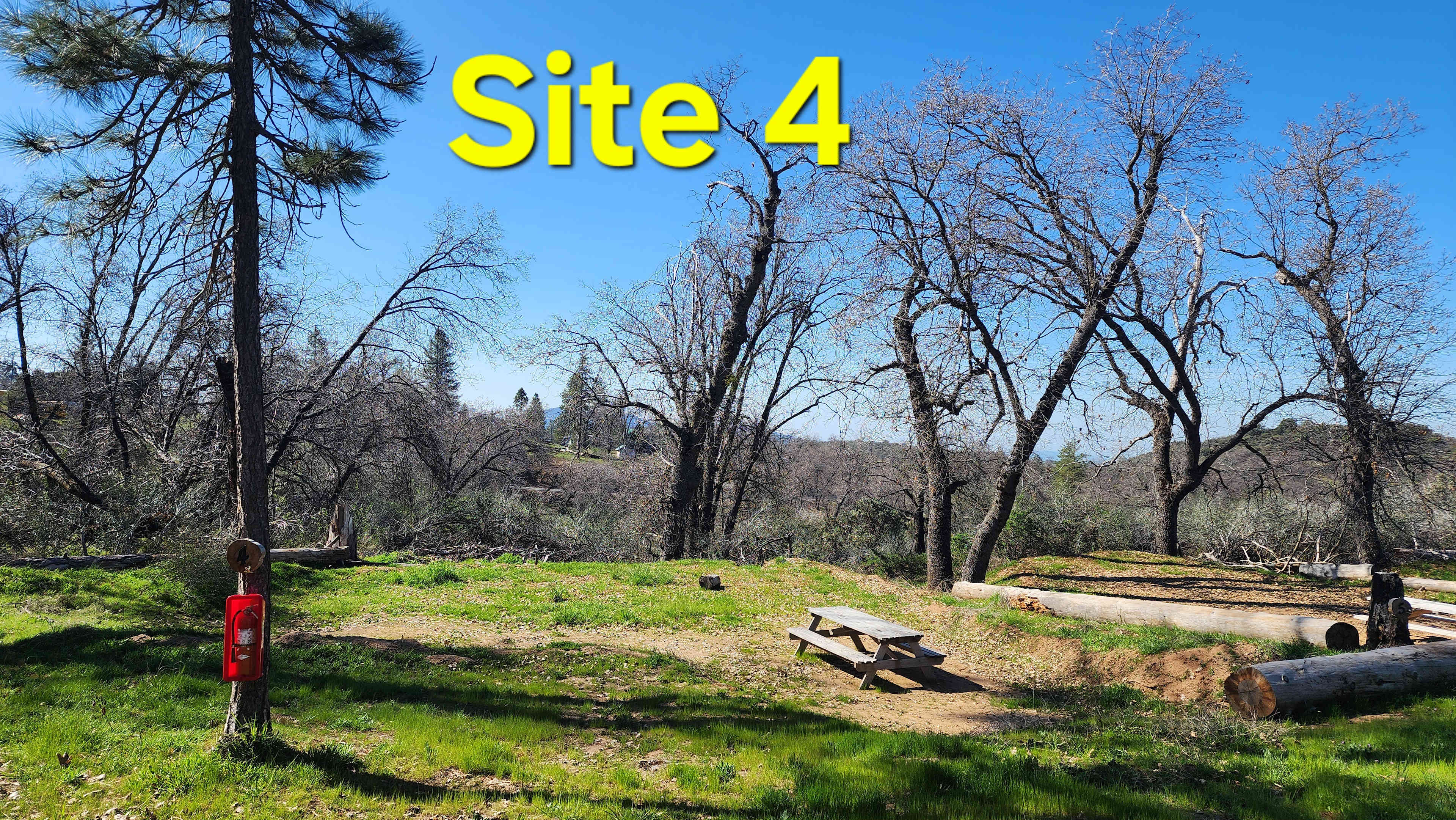 Picture of the site