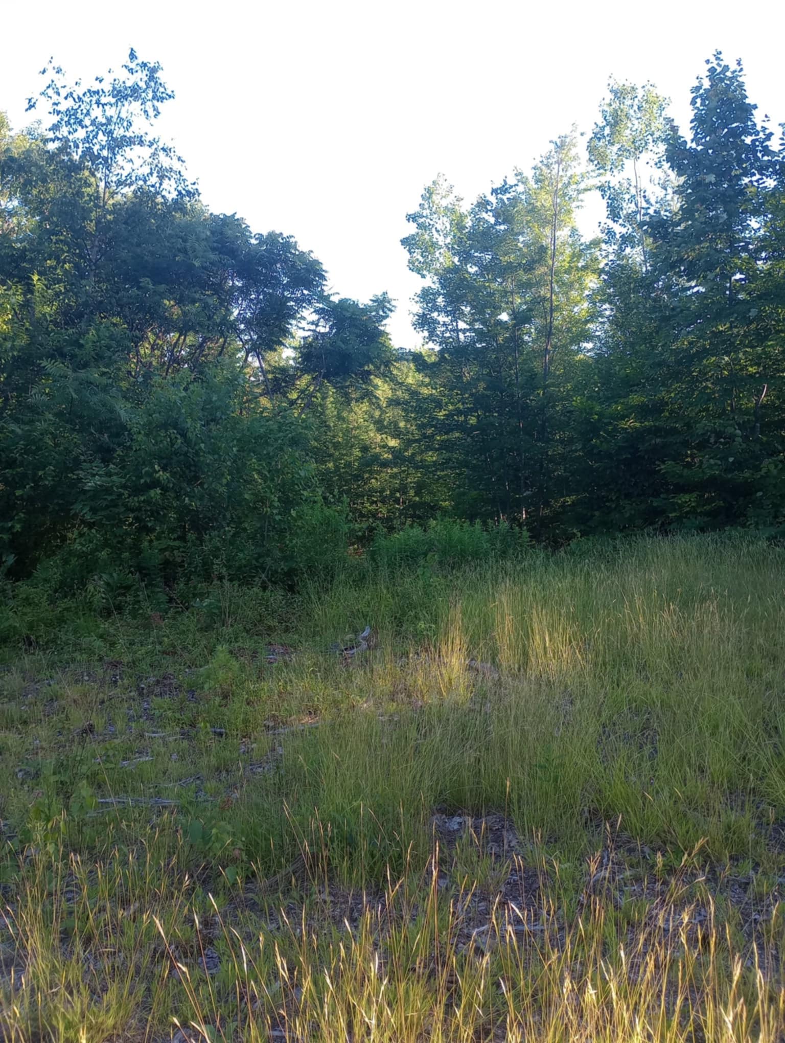 Brownfield Homestead