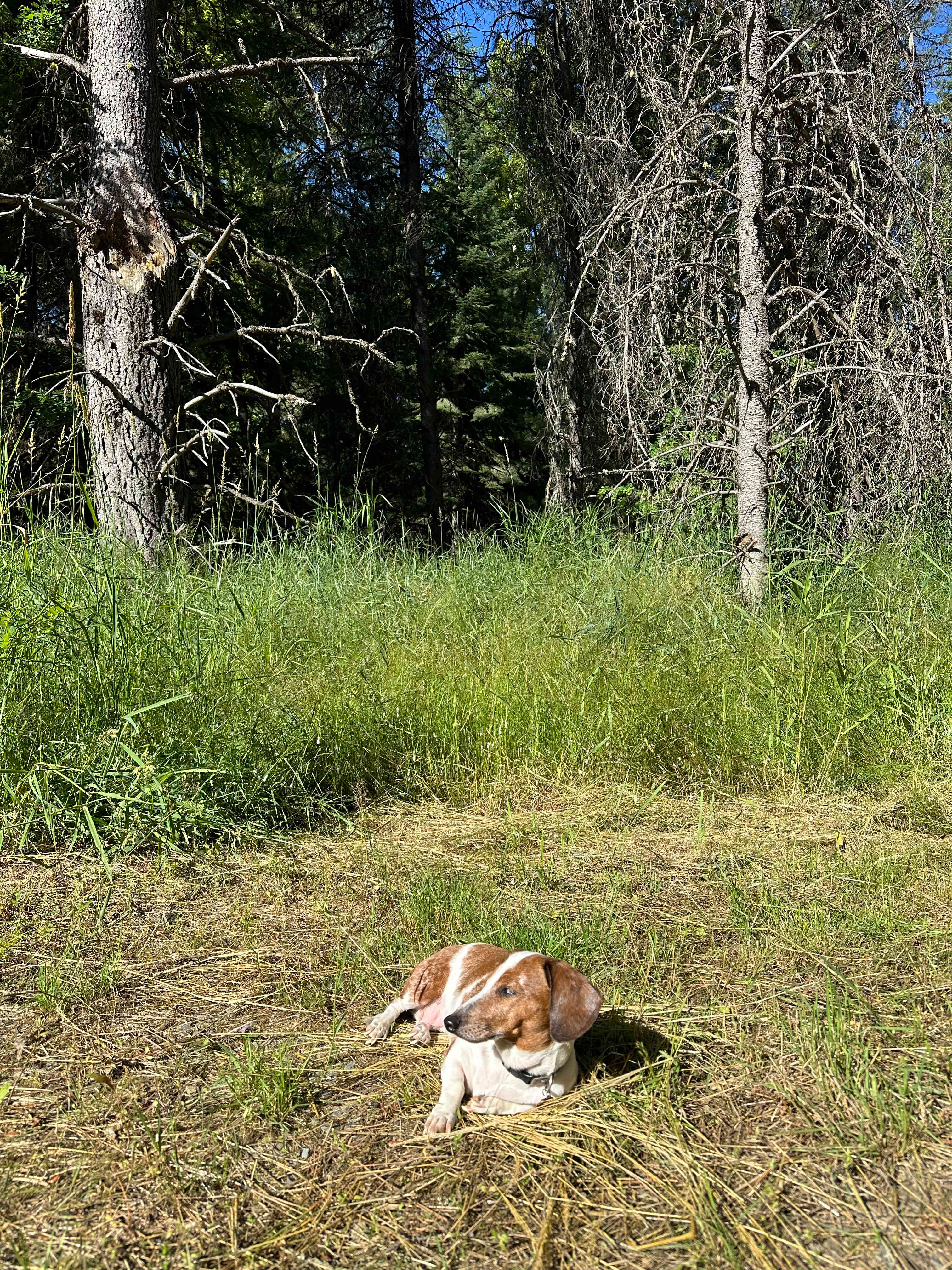 South Mission Cataldo Campground