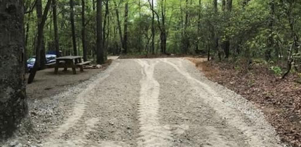 Spacious Skies Bear Den - RV/Tent Sites