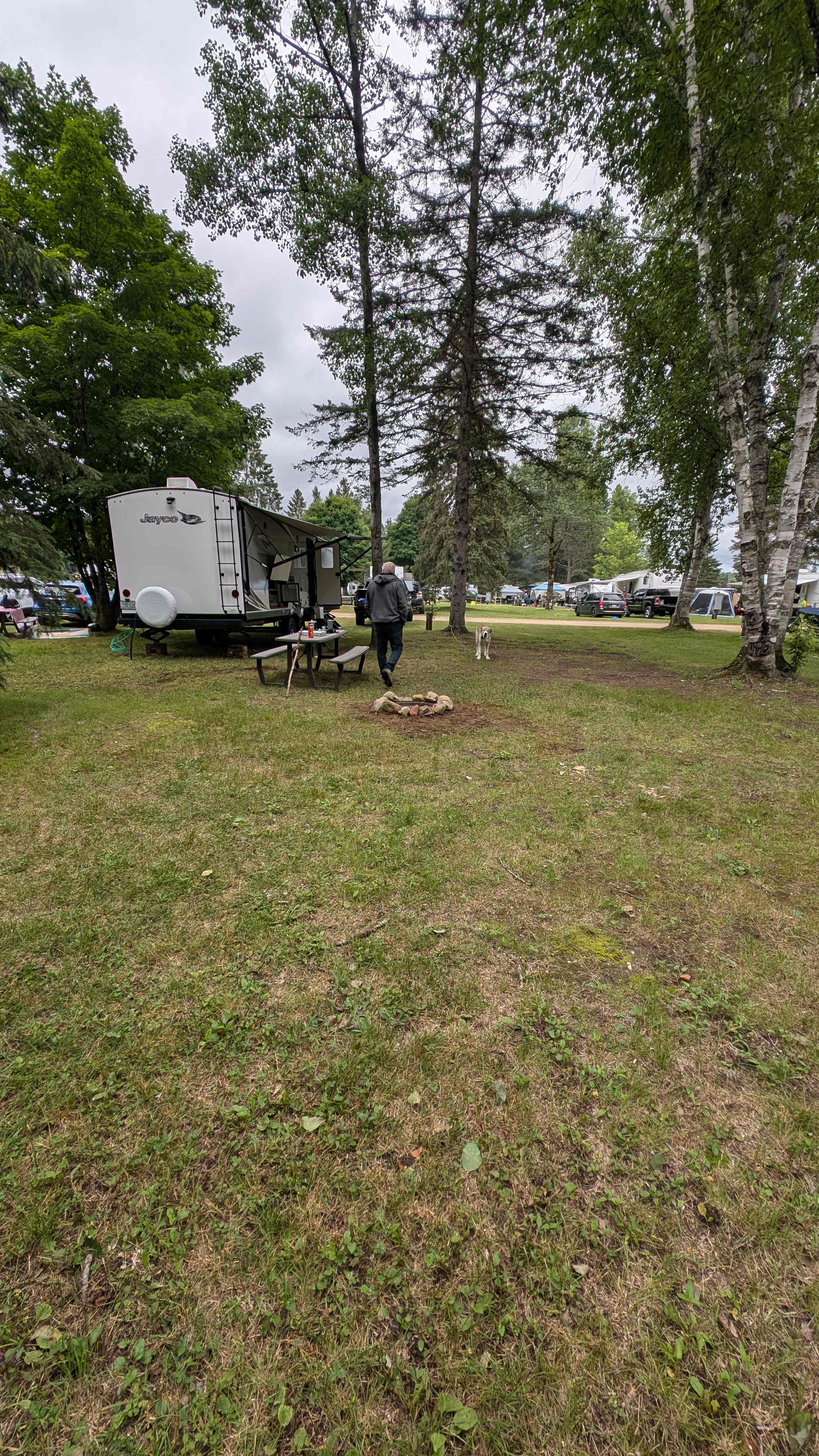 Picture of the site