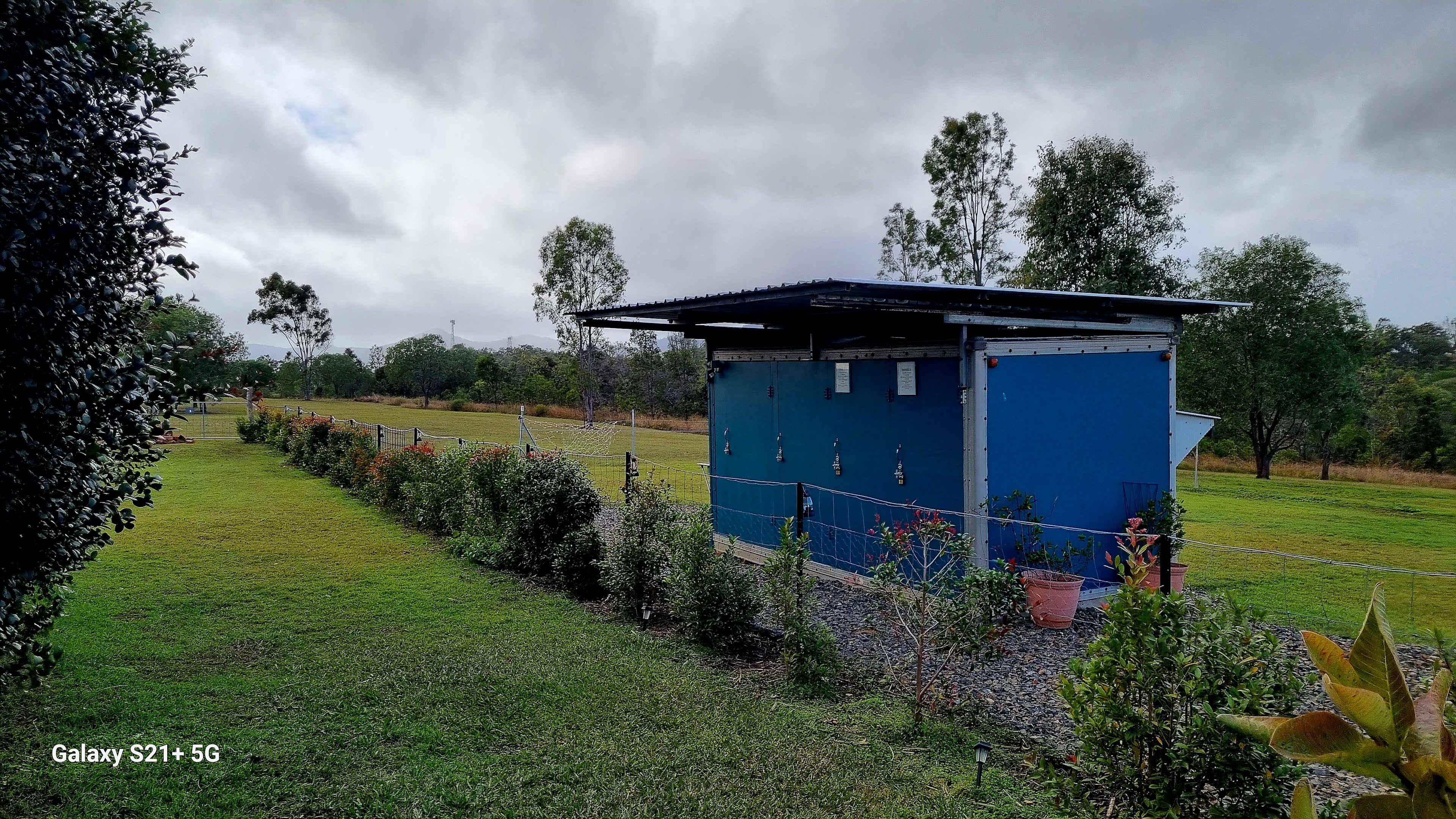 Fig Tree Camp