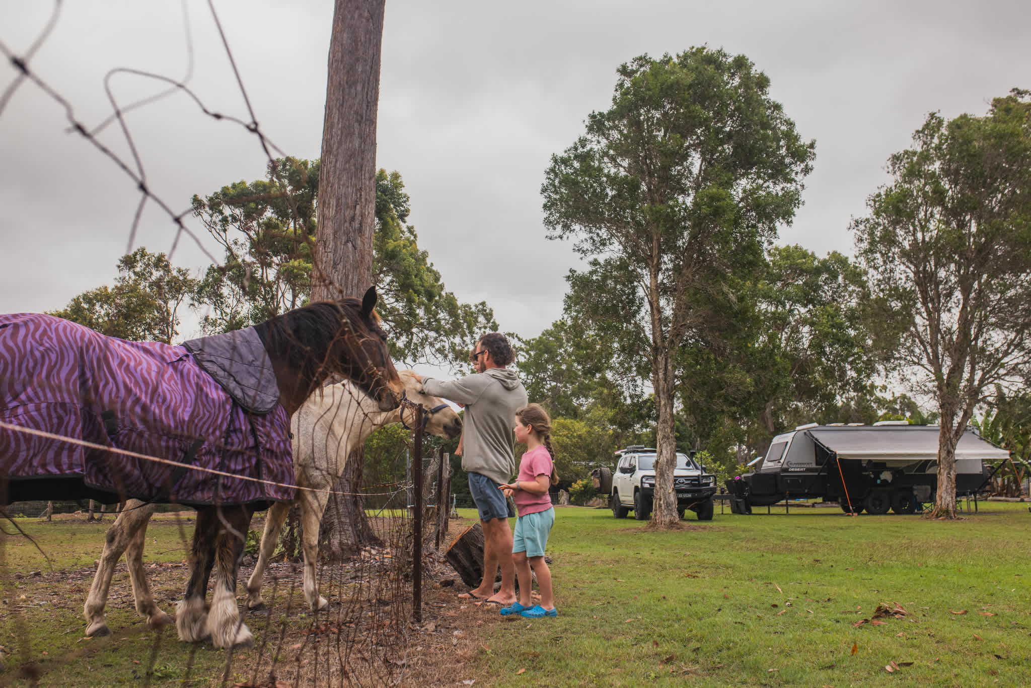 The horses are near by to the campsites and are very friendly.