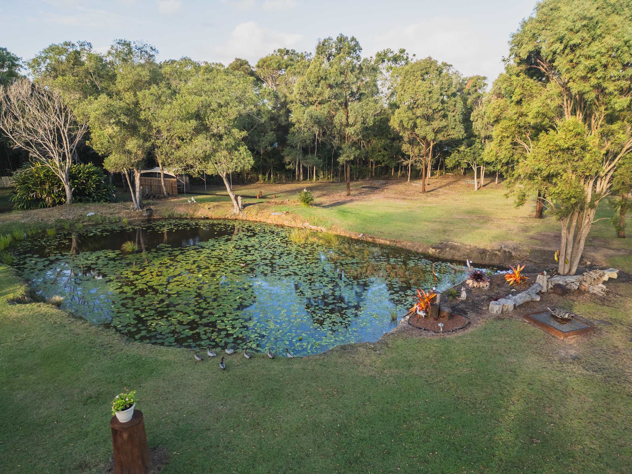 Picture of the site