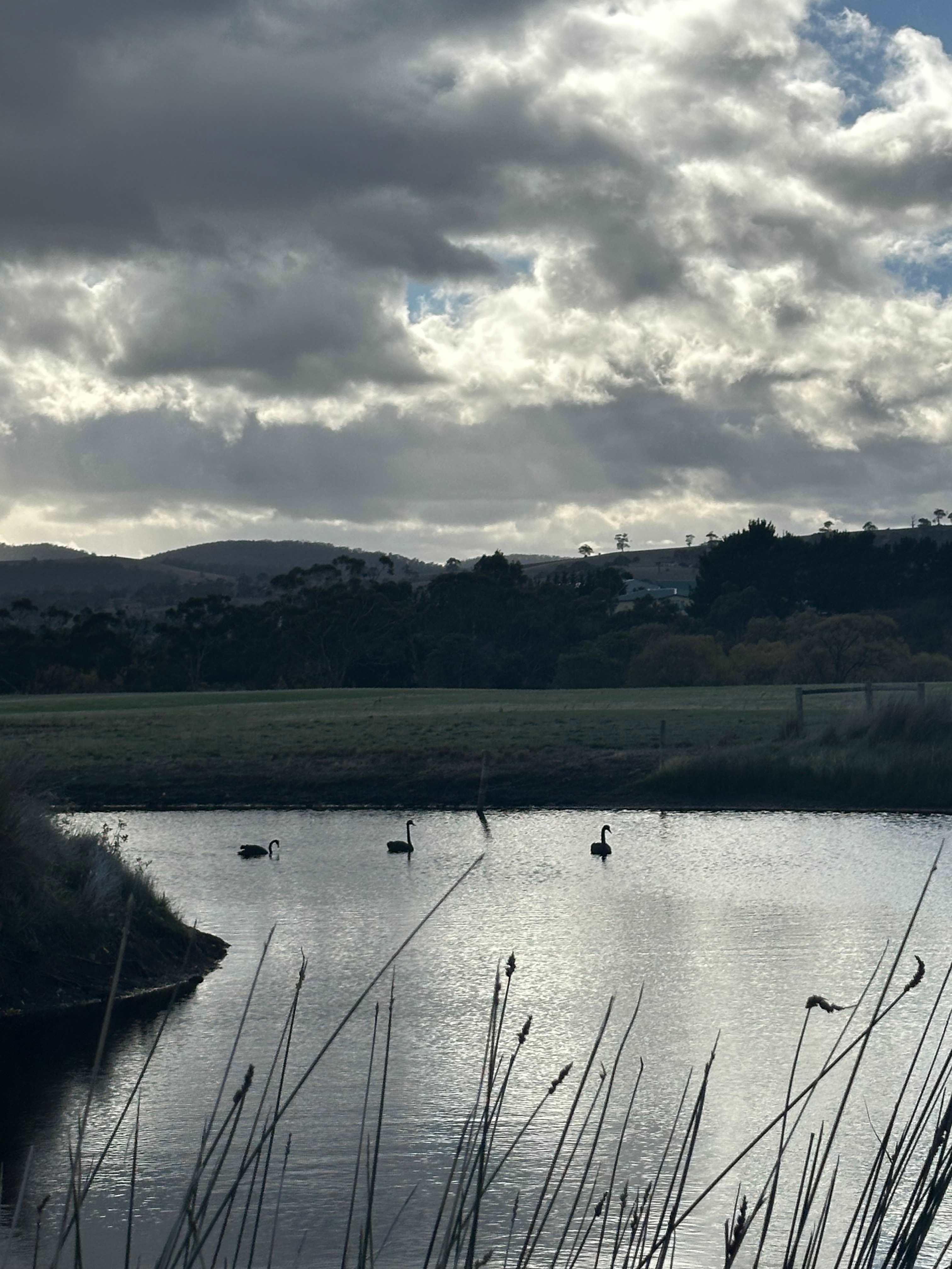 Lennoch Farm stay