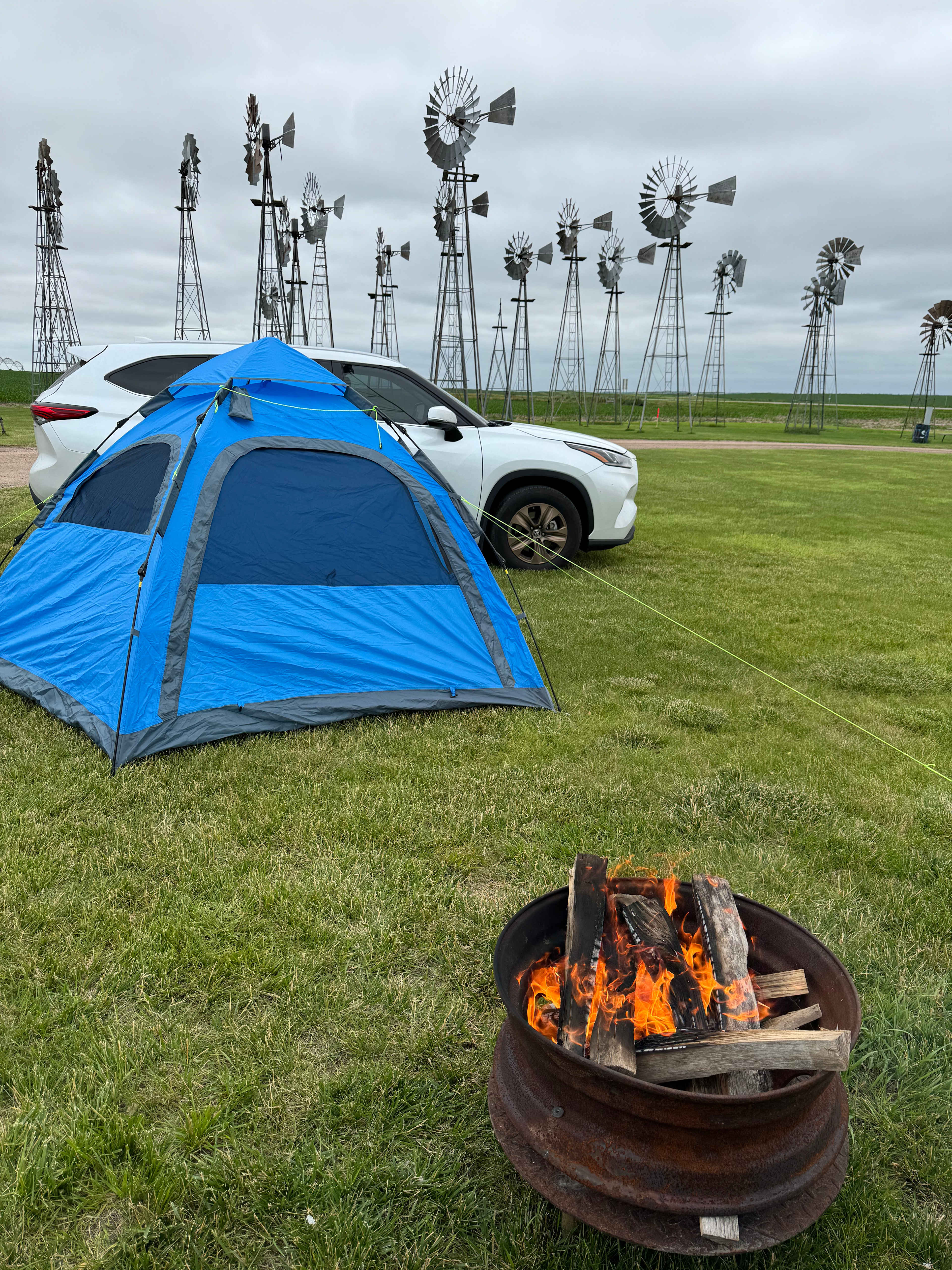 Picture of the site