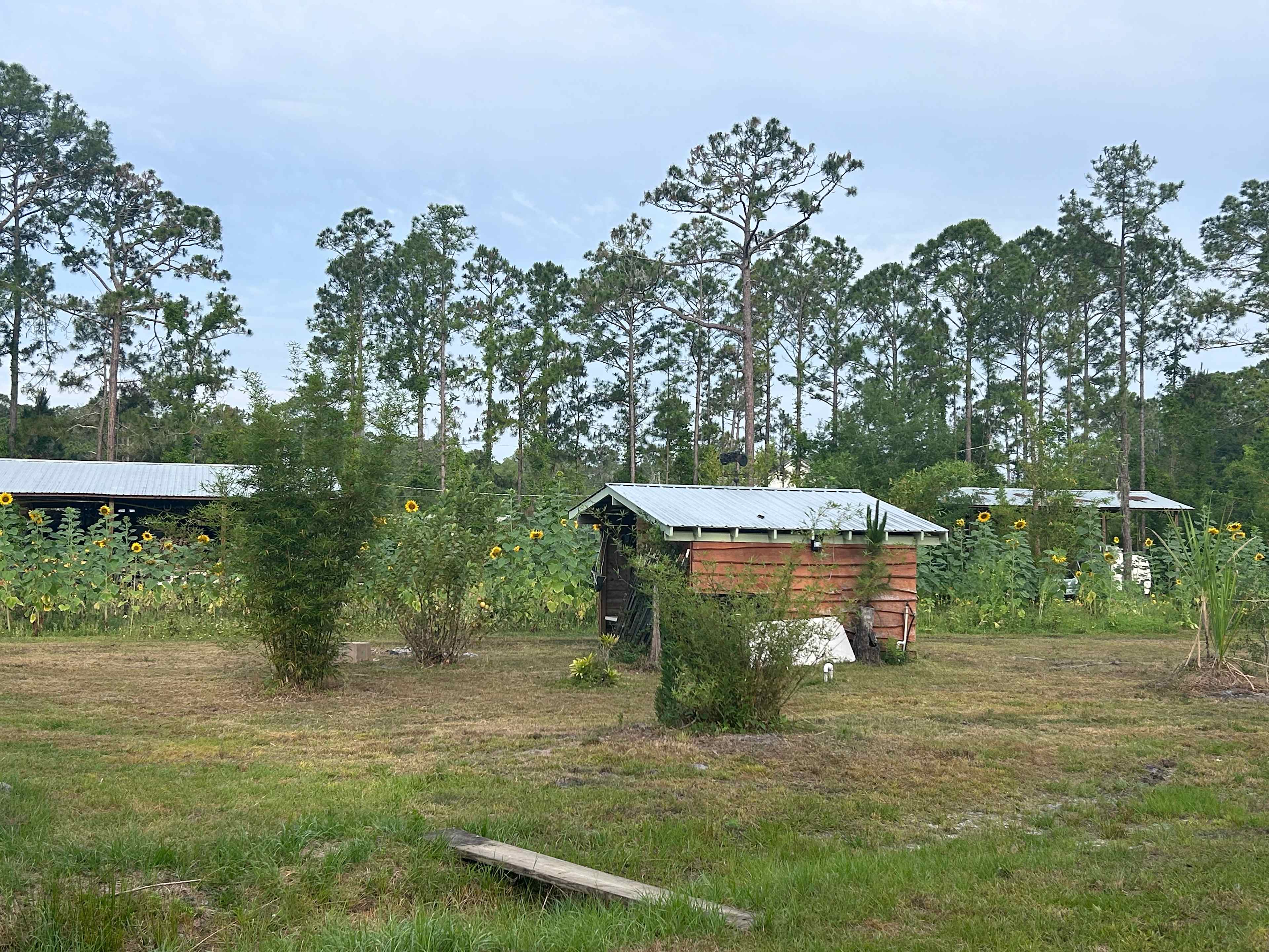 Cozy Freedom at Earthperks Farm