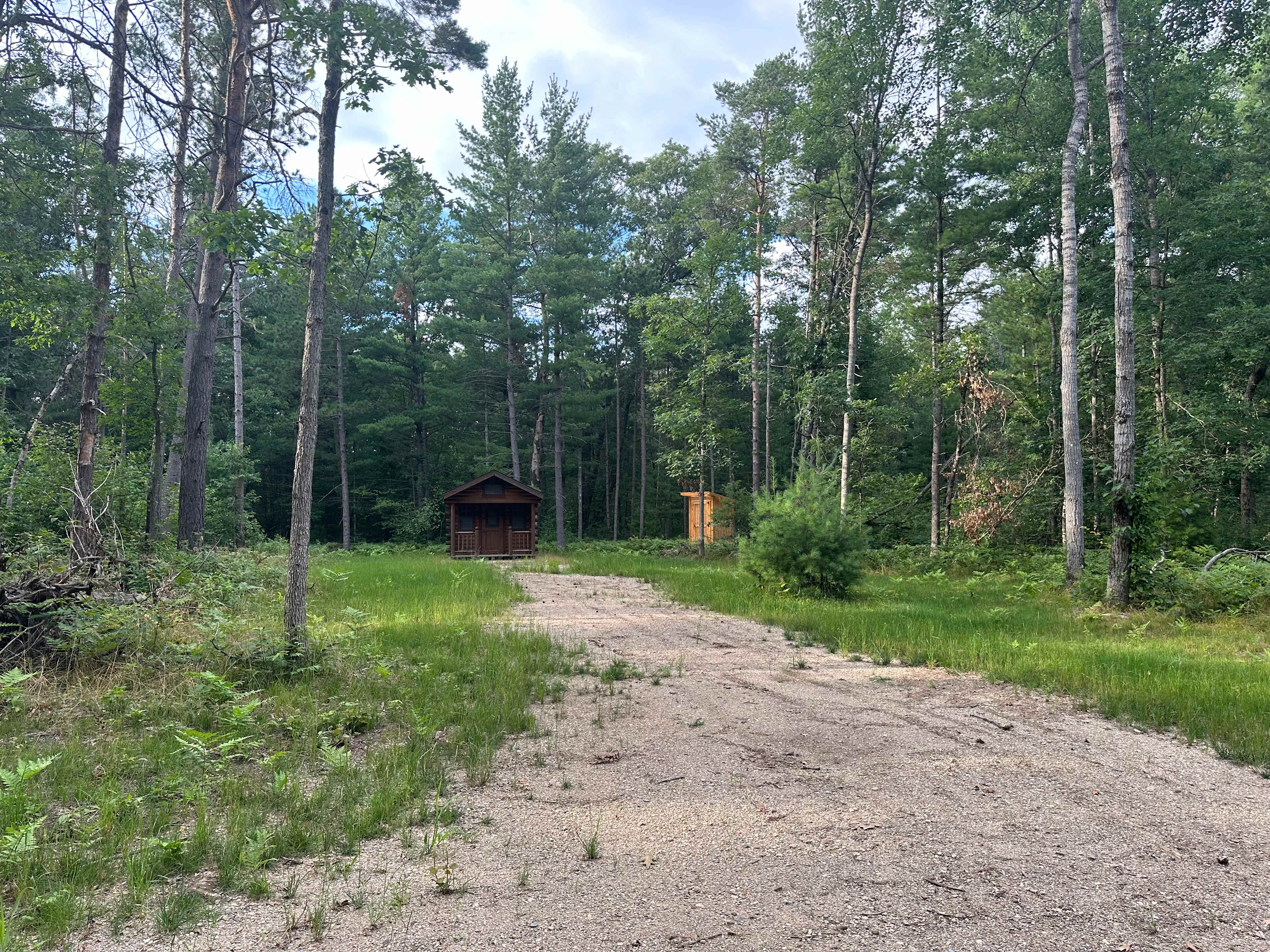 Billy’s Place in the Woods