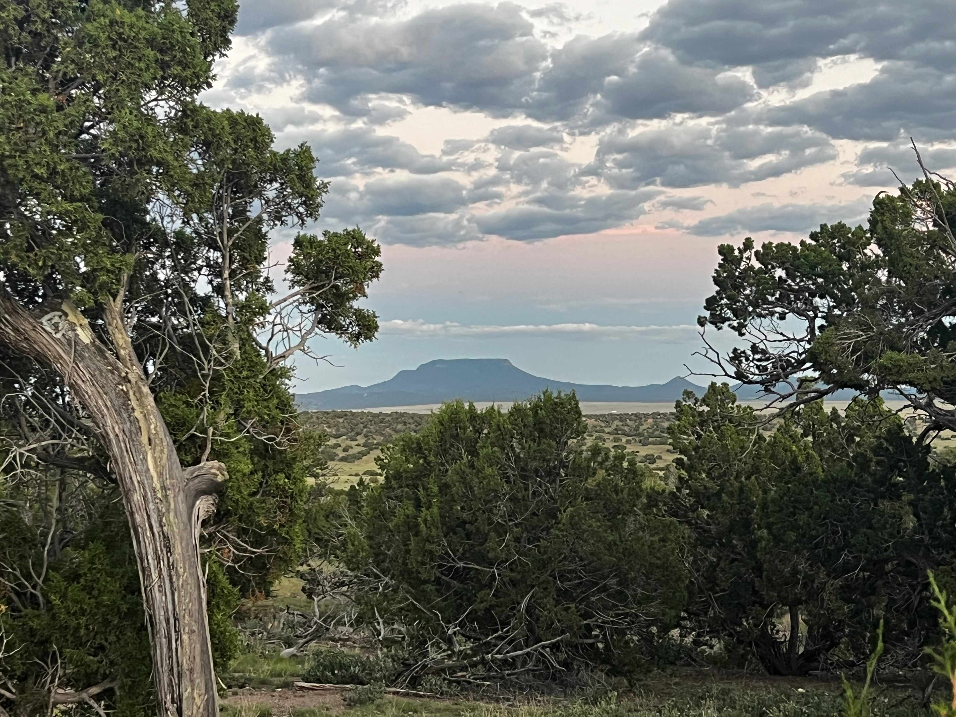 High Desert Magic