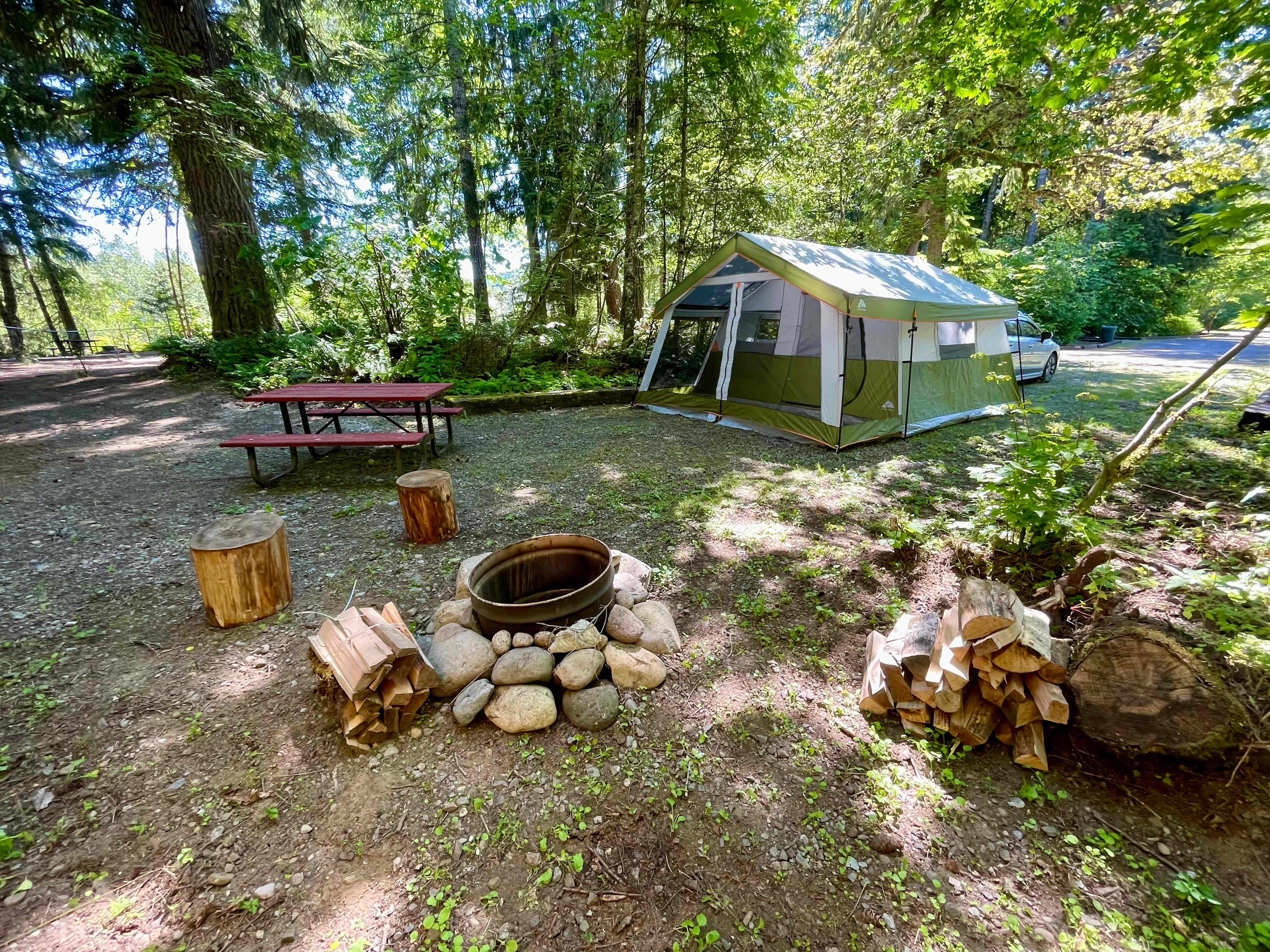Picture of the site
