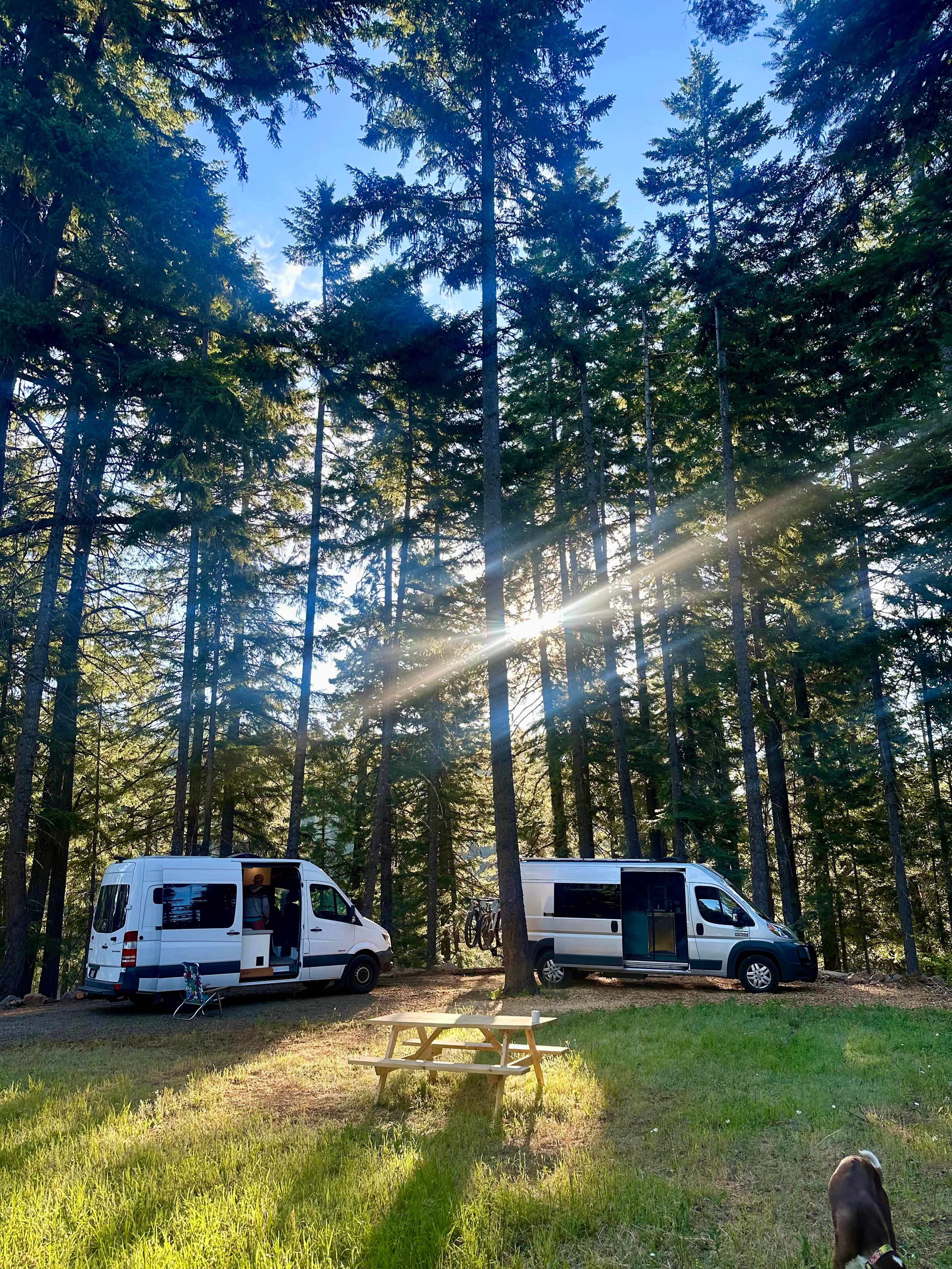 Eight Four Eight Camp