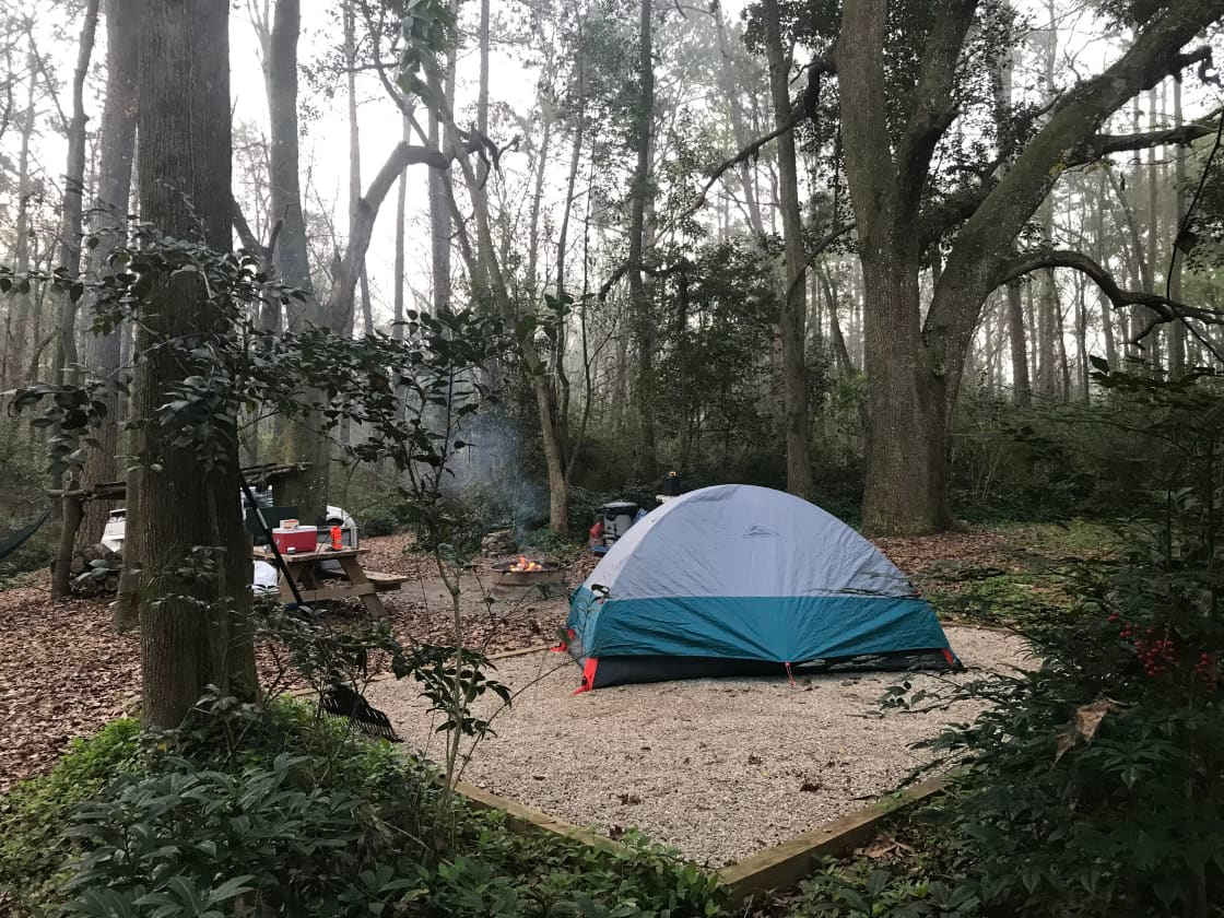 Magnolia Mountain