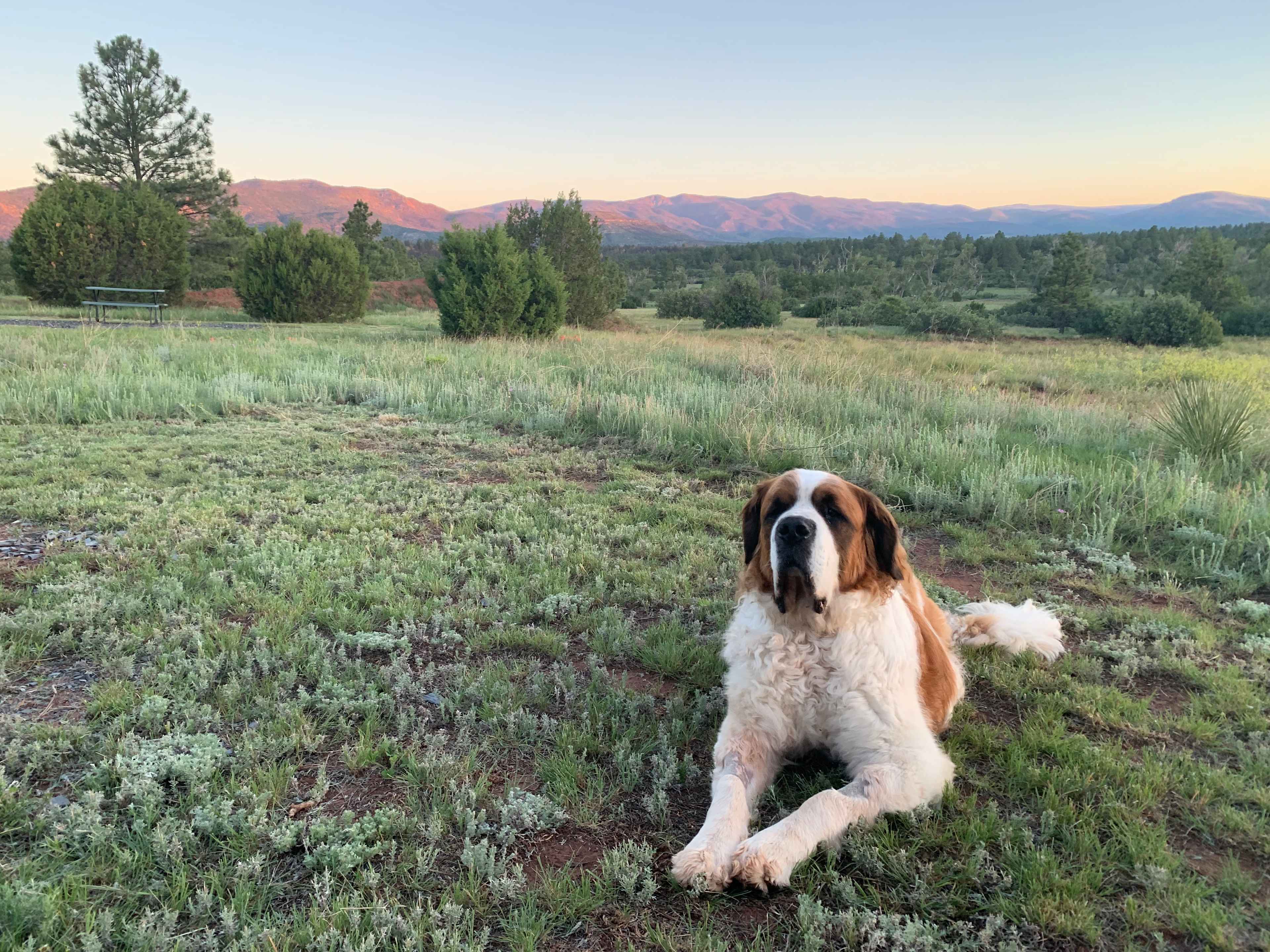 San Pablo Ranch