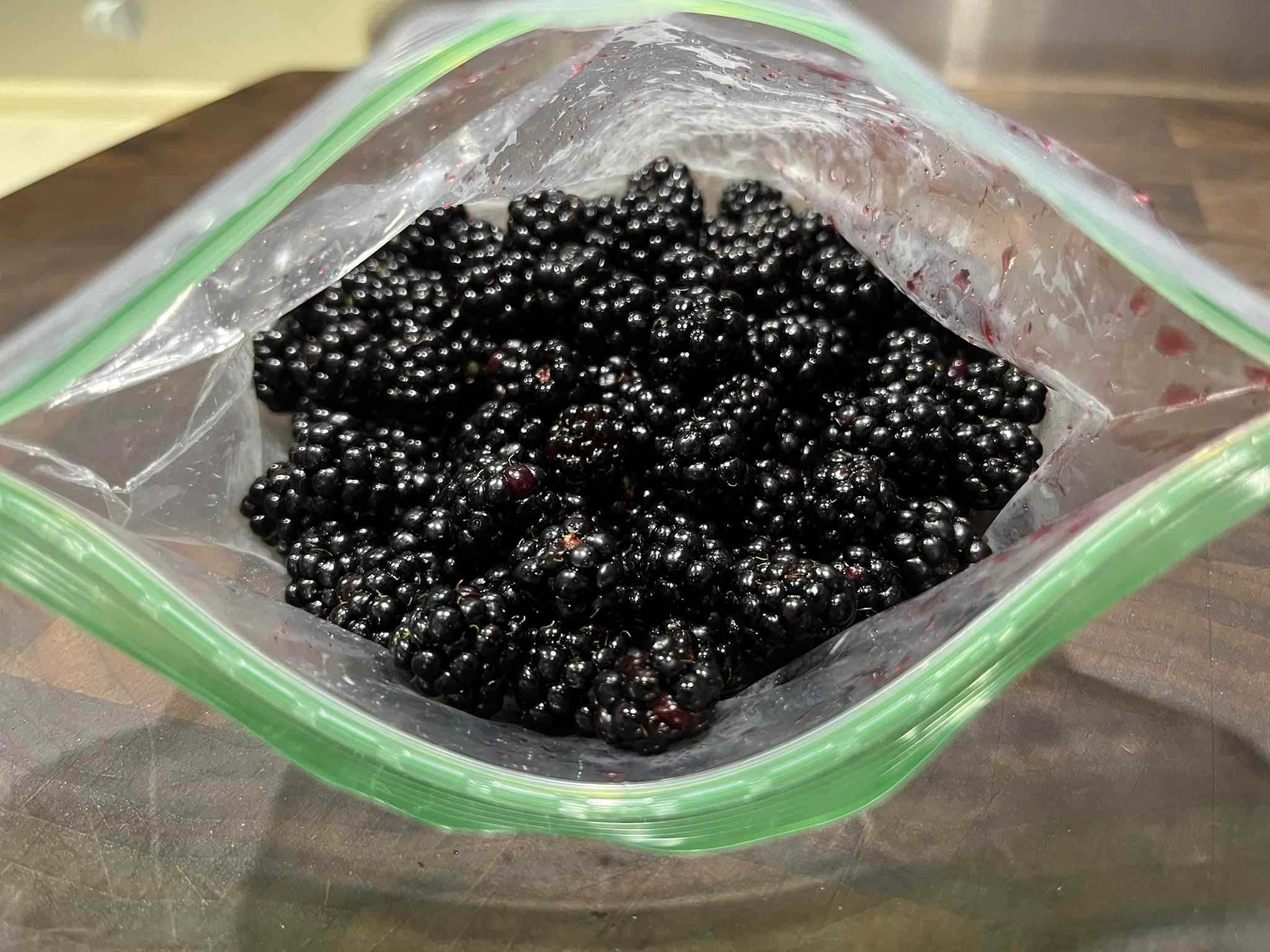 4.2 mile hike (round trip) for fresh blackberries