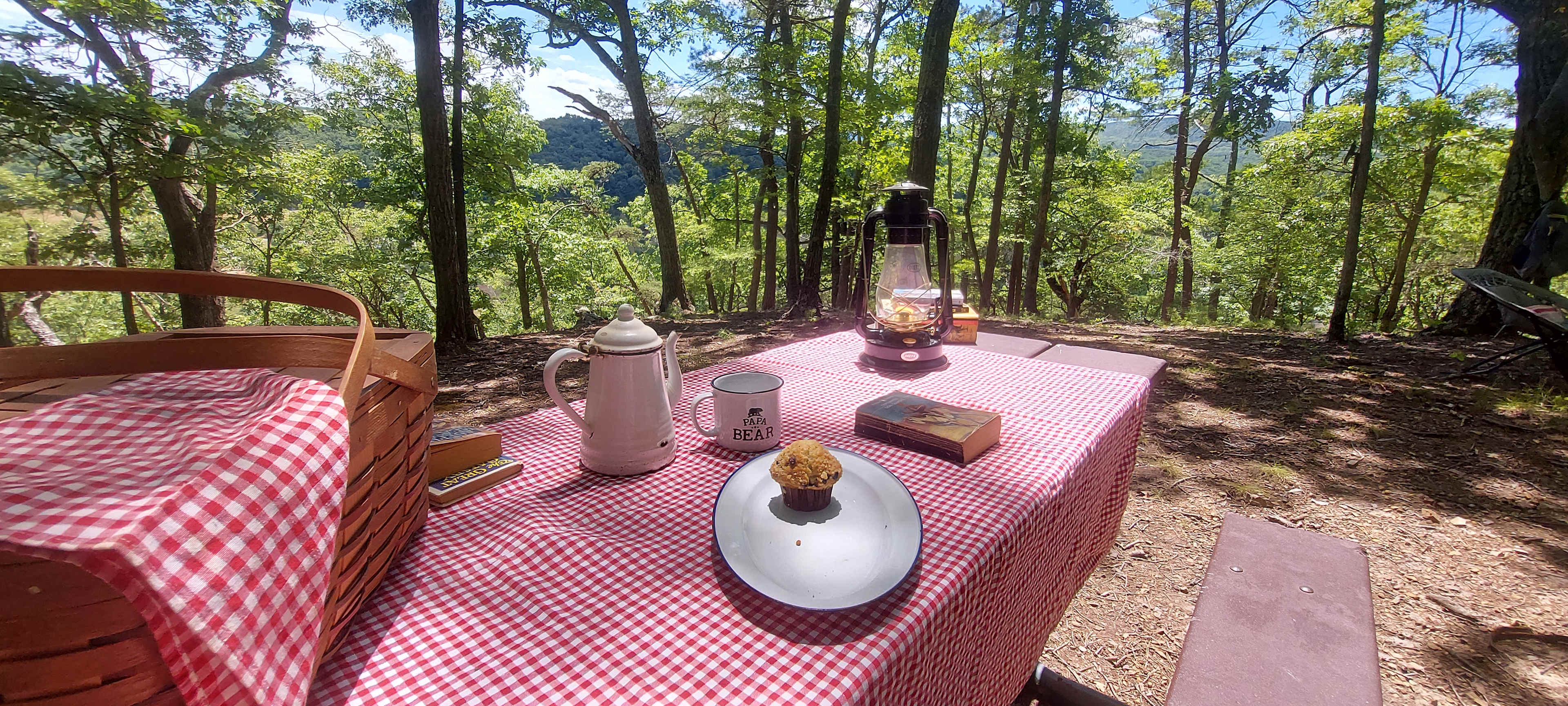Breakfast with a summer view of the Allegheny Mountains of WV