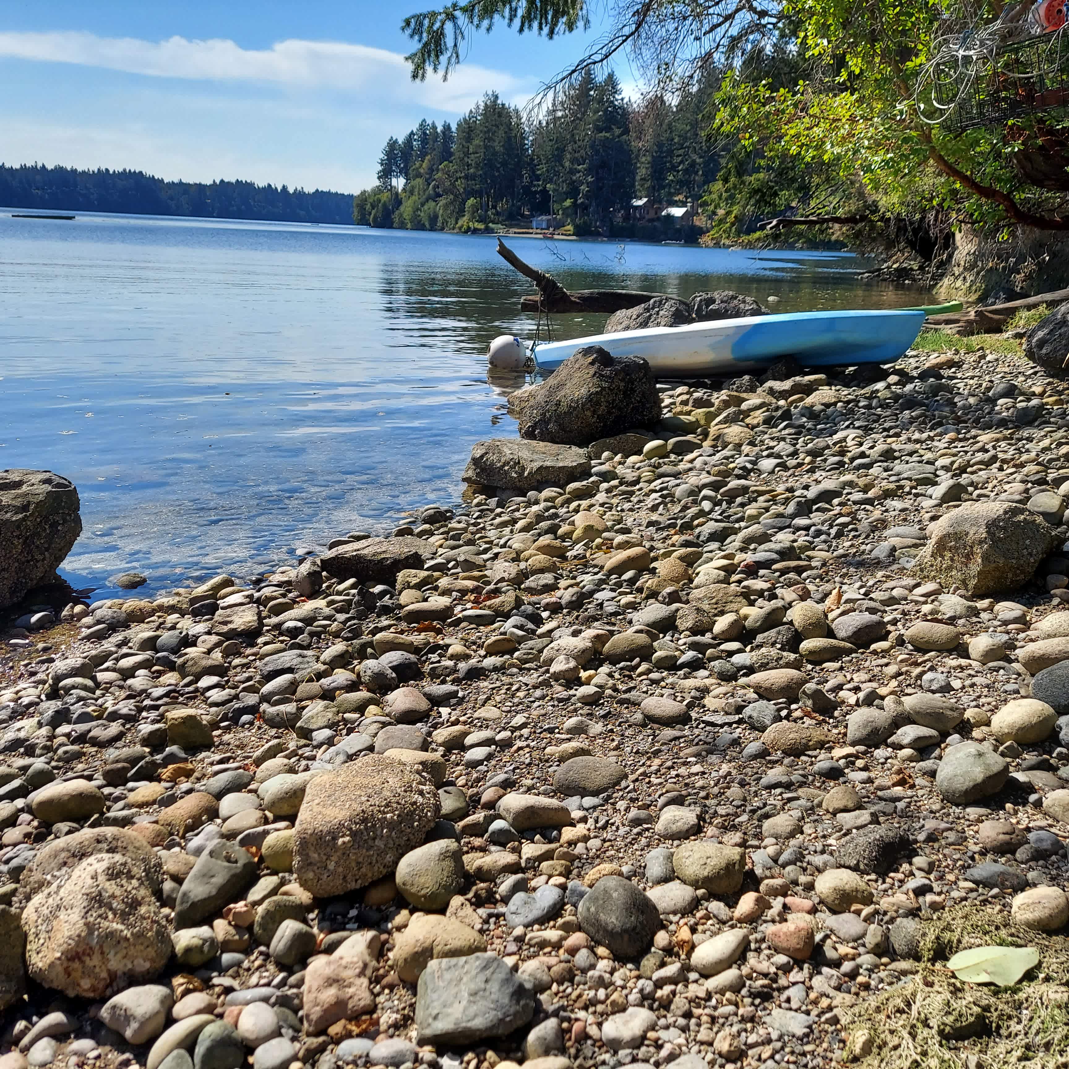 McLane Cove