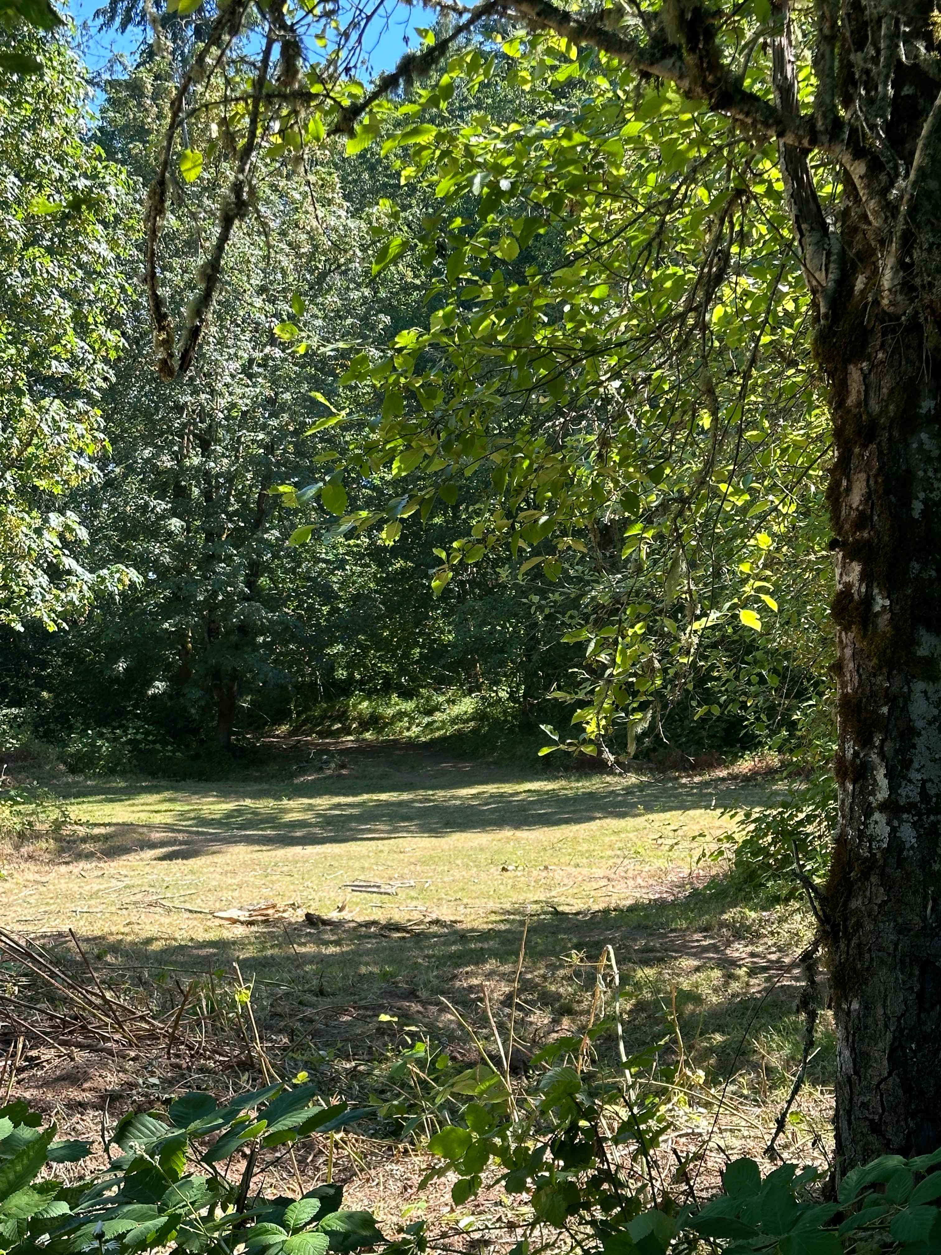 Gordon’s Pond