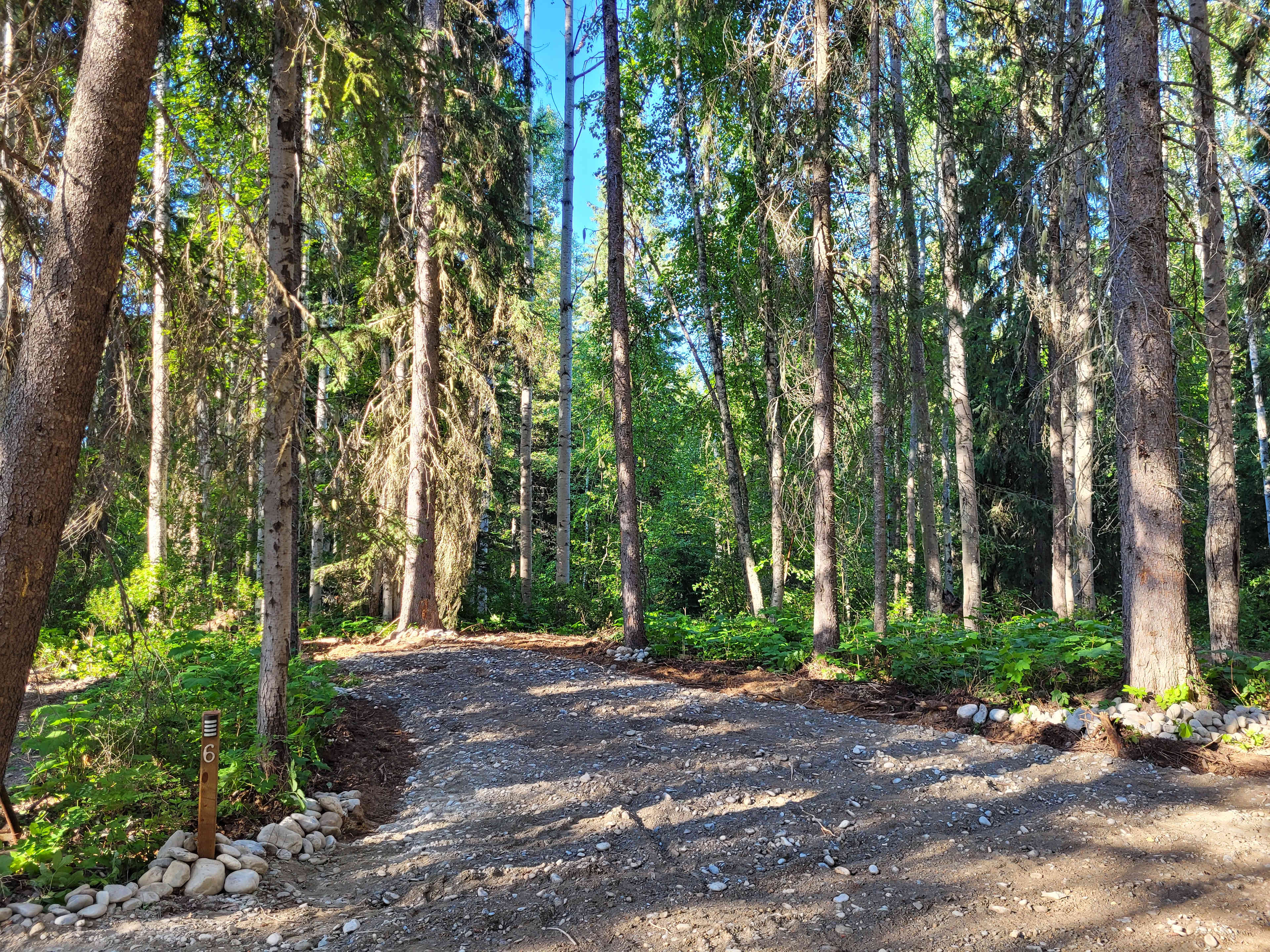 Whispering Forest Campground