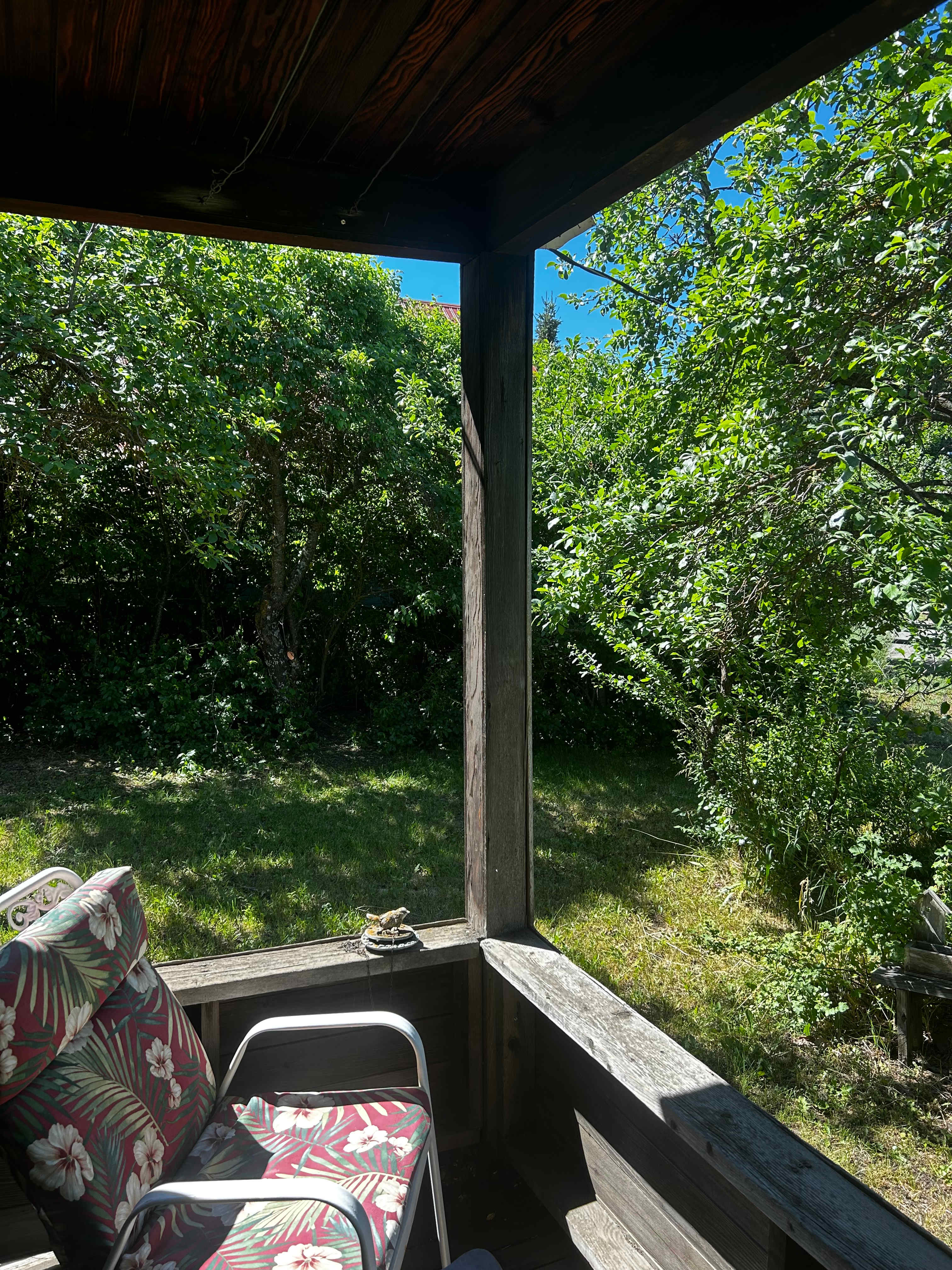 Enjoy the tranquility of the old front porch surrounded by shady heirloom fruit trees.  We don’t spray the property, so you can enjoy the fruit right off the tree. 
