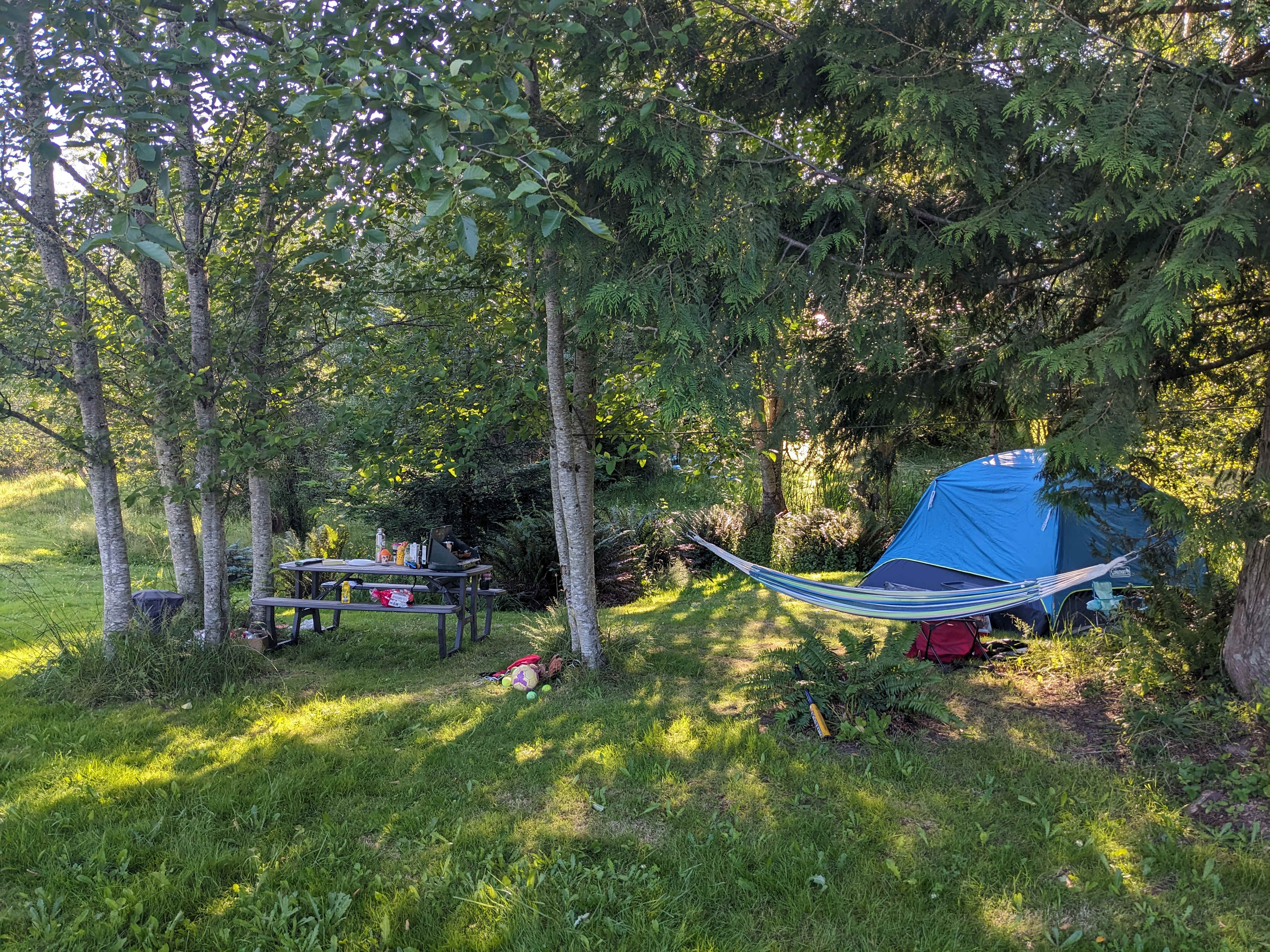 Picture of the site