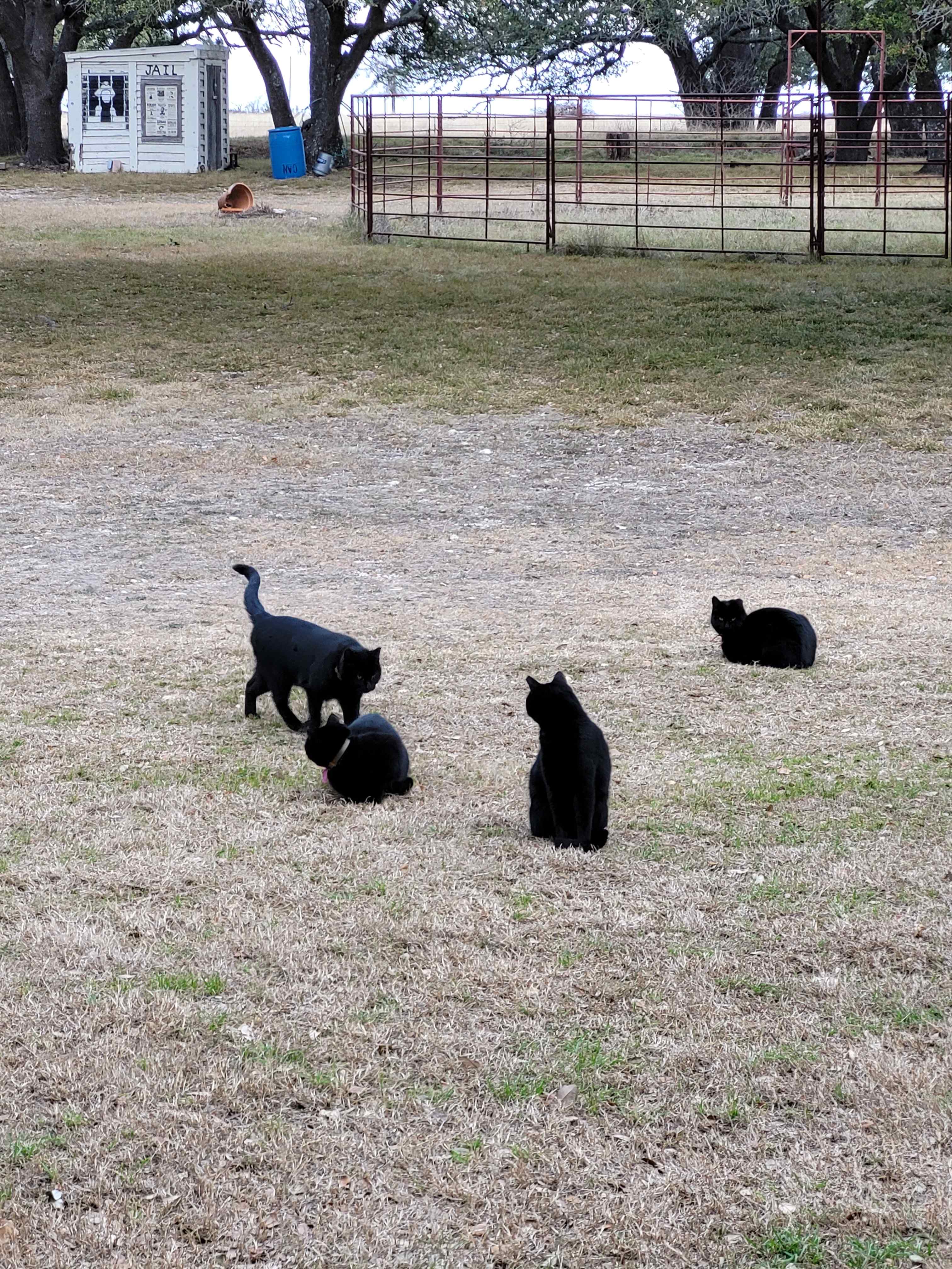 Sappho Ranch