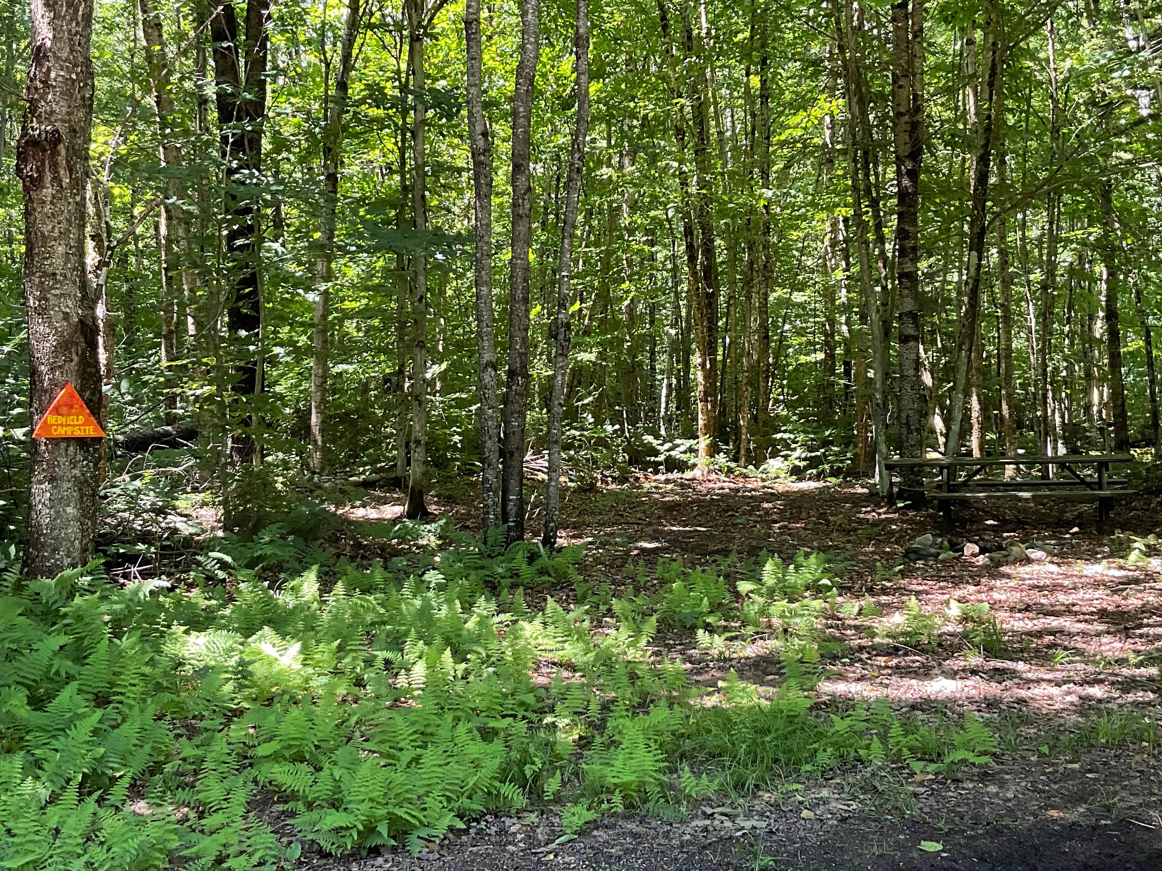 Mountaineer Campground @Massawepie