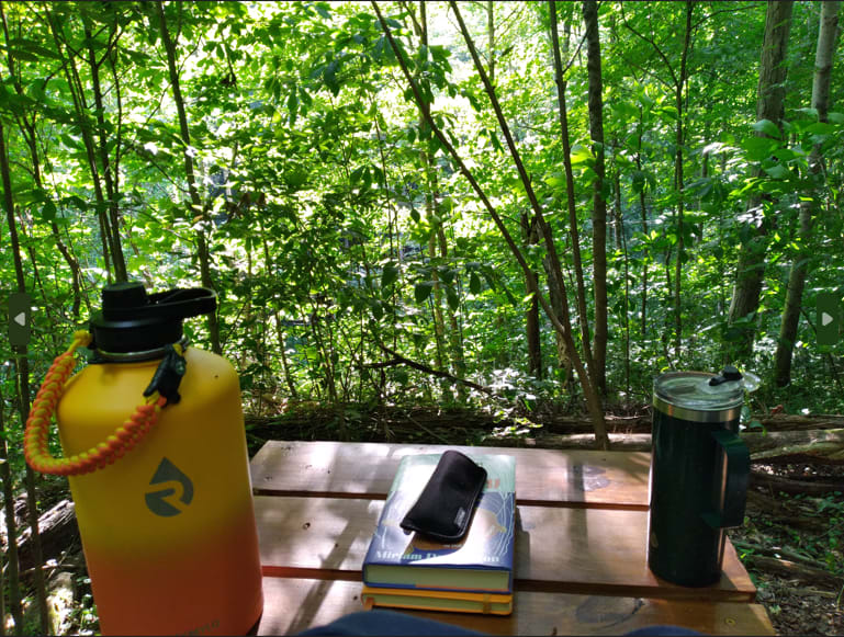 View from the deck