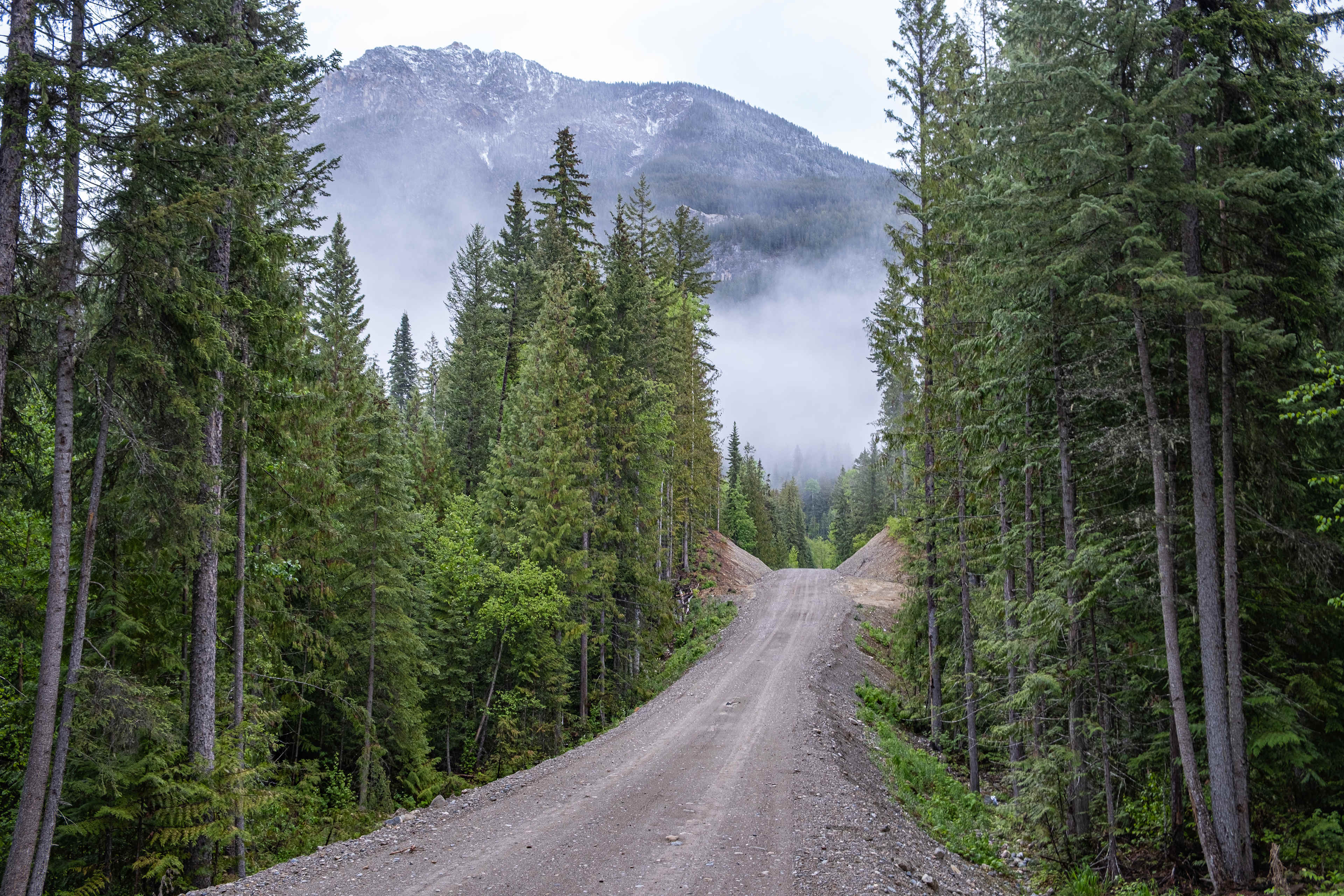 The road coming in to our property
