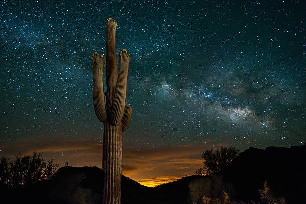 Cactus Forest Campground Boondock