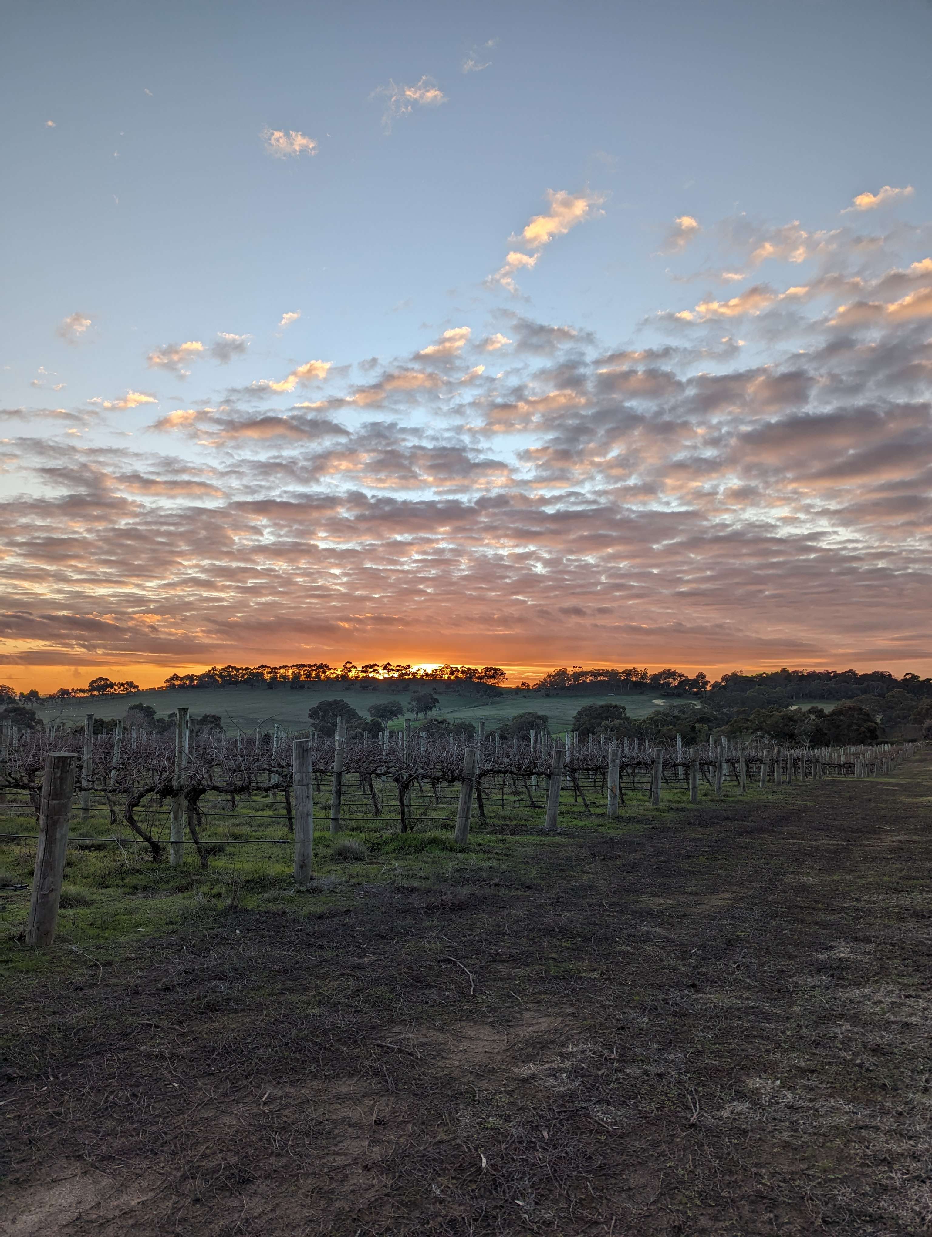 Glen Elden Farm
