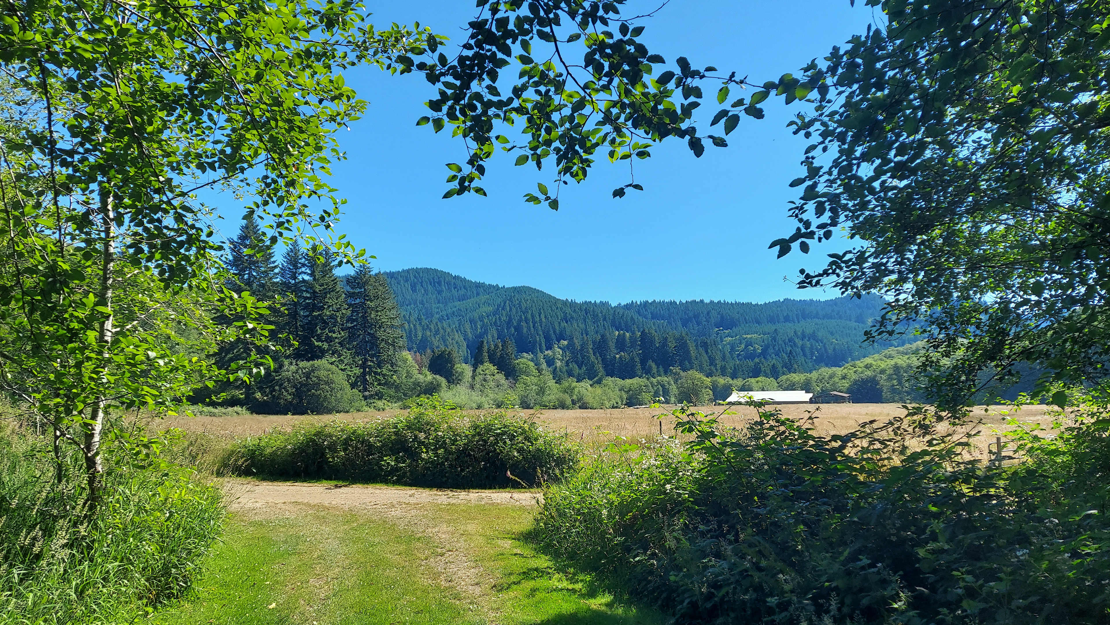 Picture of the site