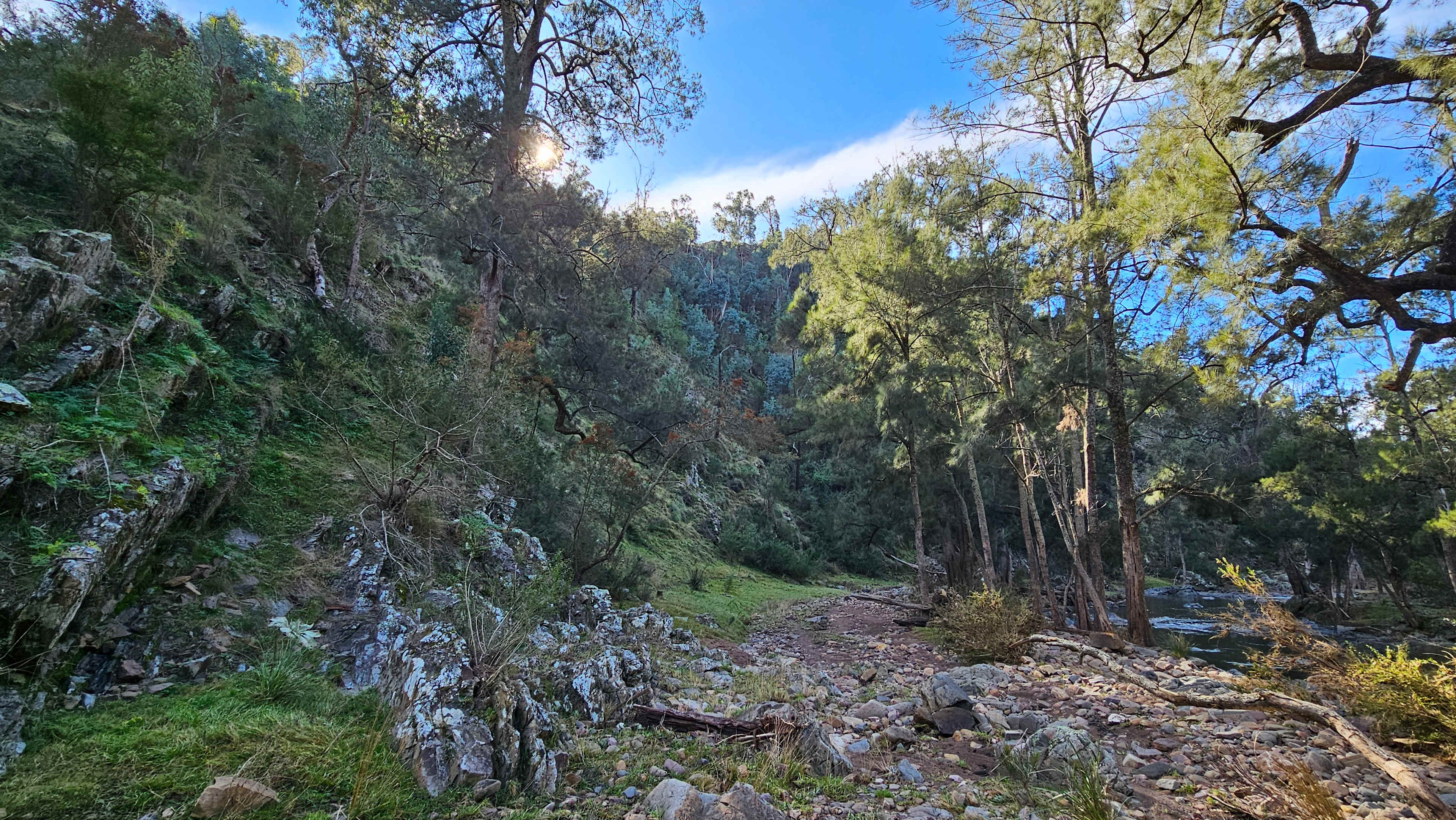 Picture of the site