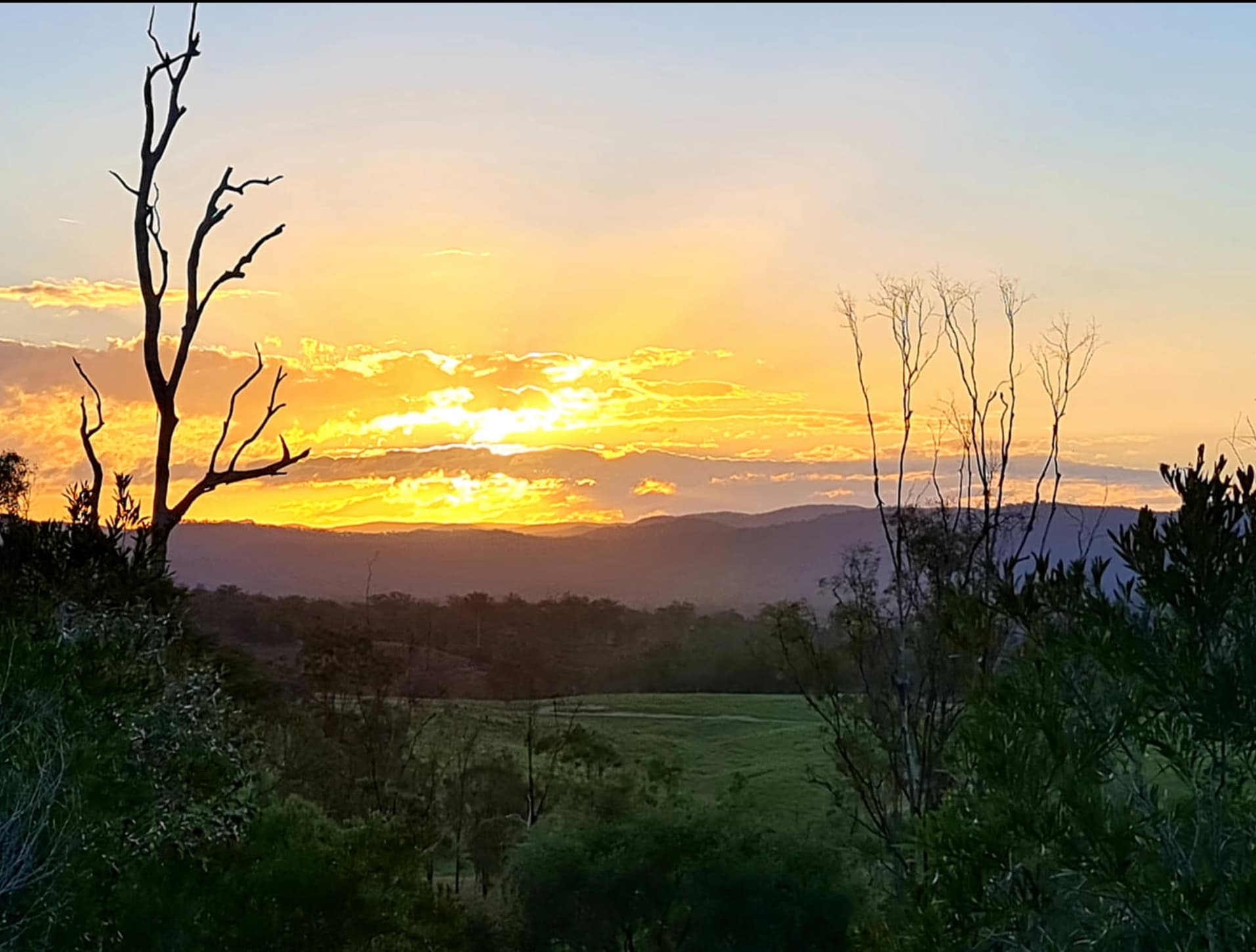 Slice of Heaven - Pet Friendly